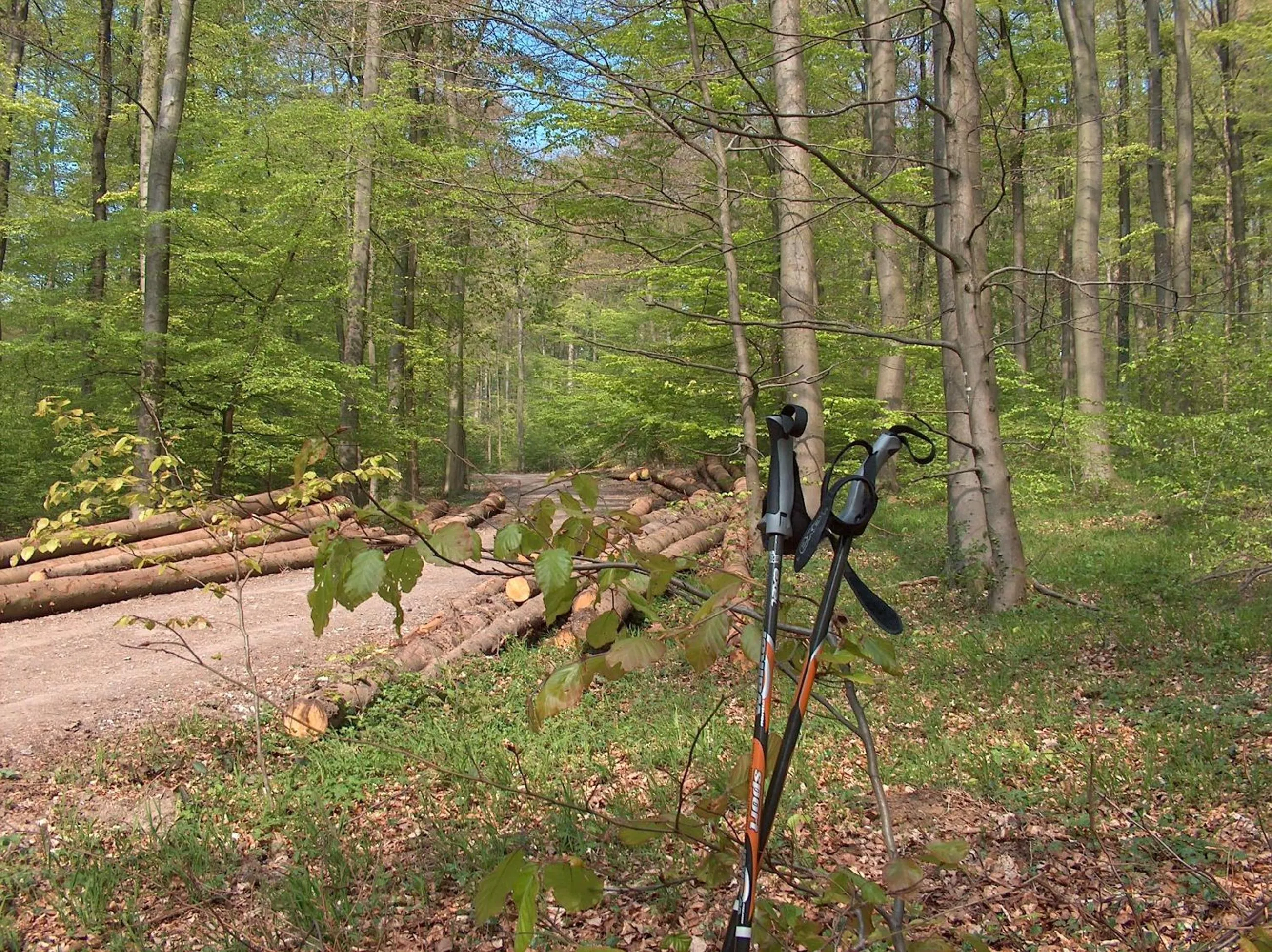 Hiking in Landhotel Ridder