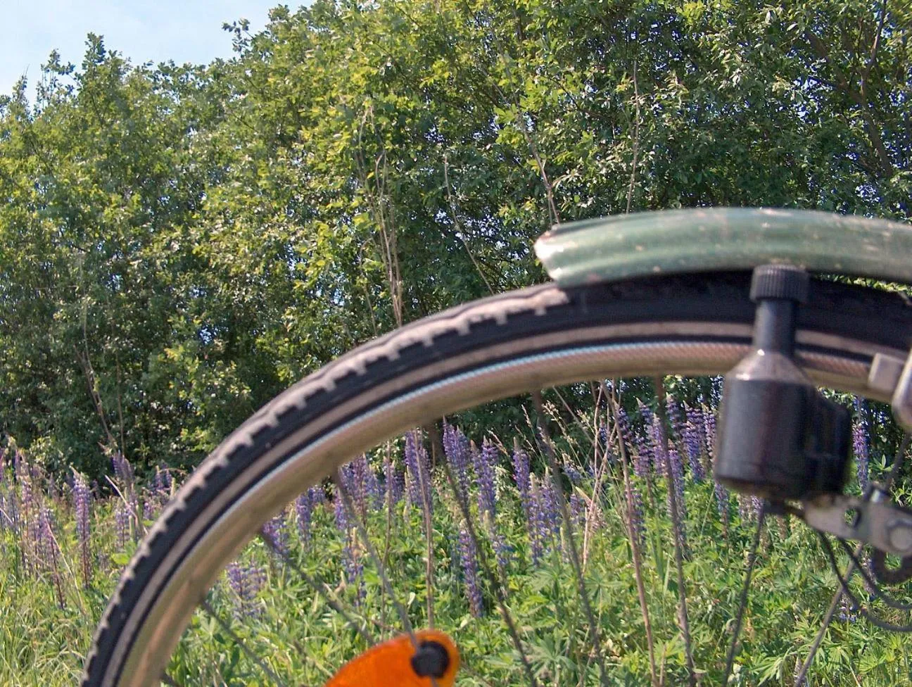 Cycling in Landhotel Ridder