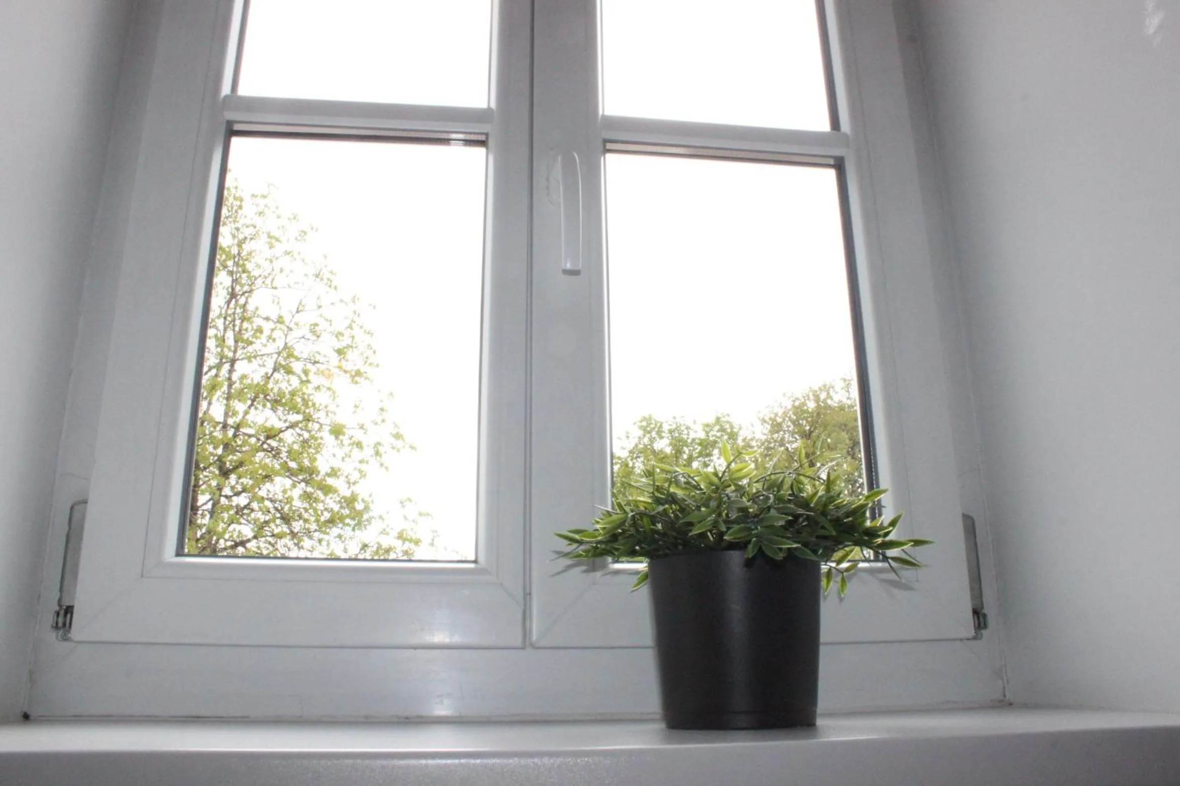 View (from property/room) in Hotel Waitzingers