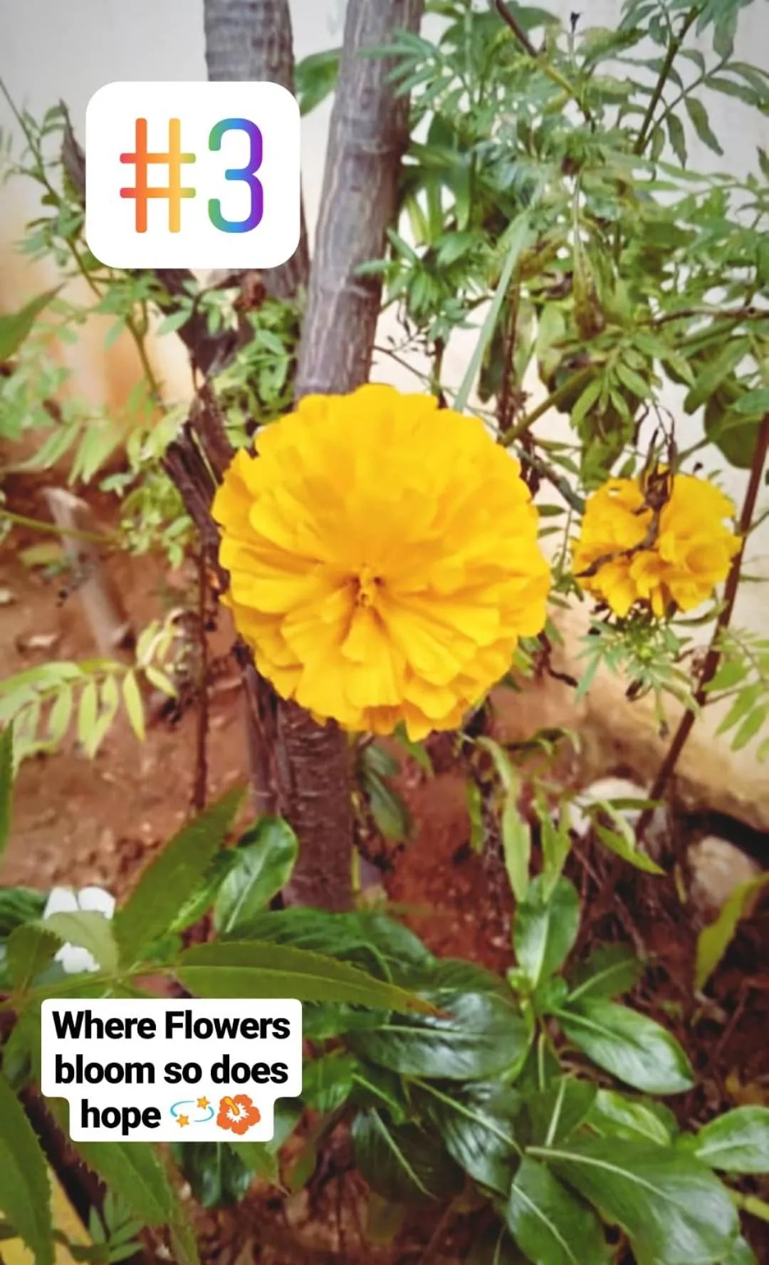 Property building in AGS HOLIDAY RESORTS