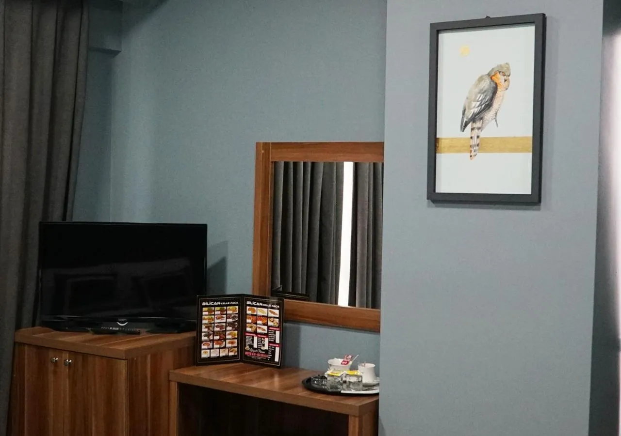 TV and multimedia in OTTOMAN İSTANBUL AİRPORT OTEL