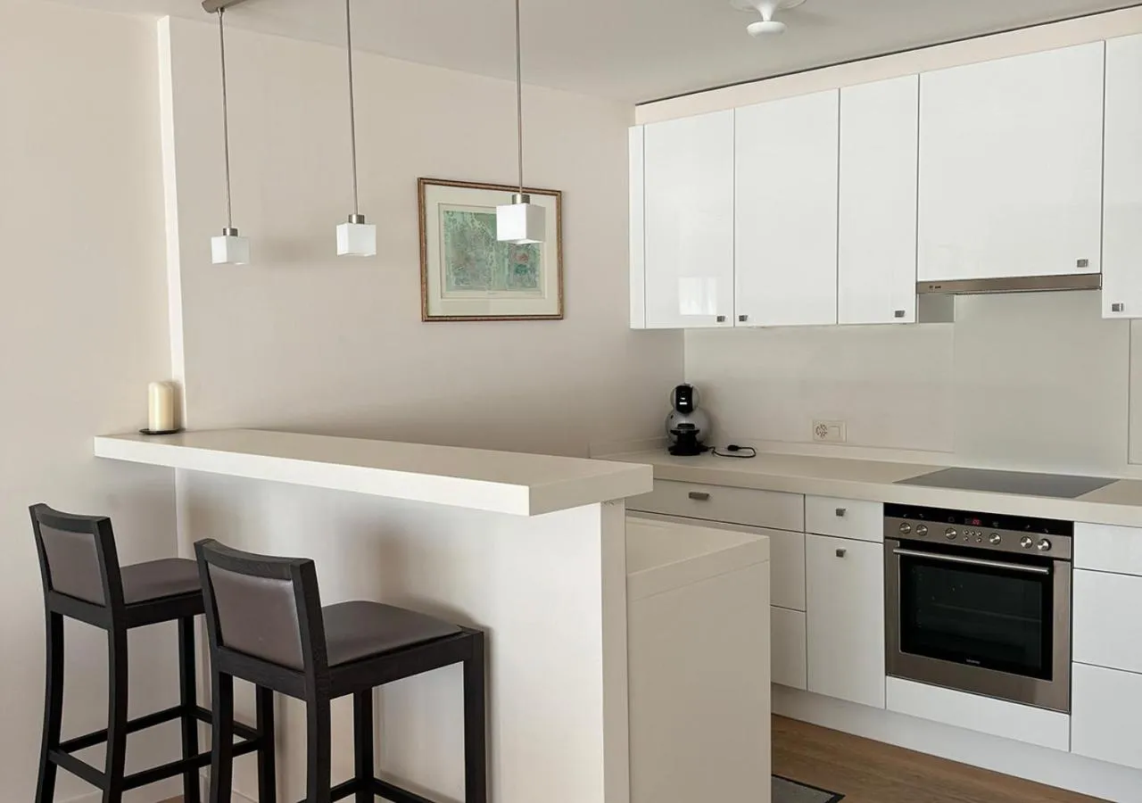 Kitchen or kitchenette in Hôtel des Bains de Saillon