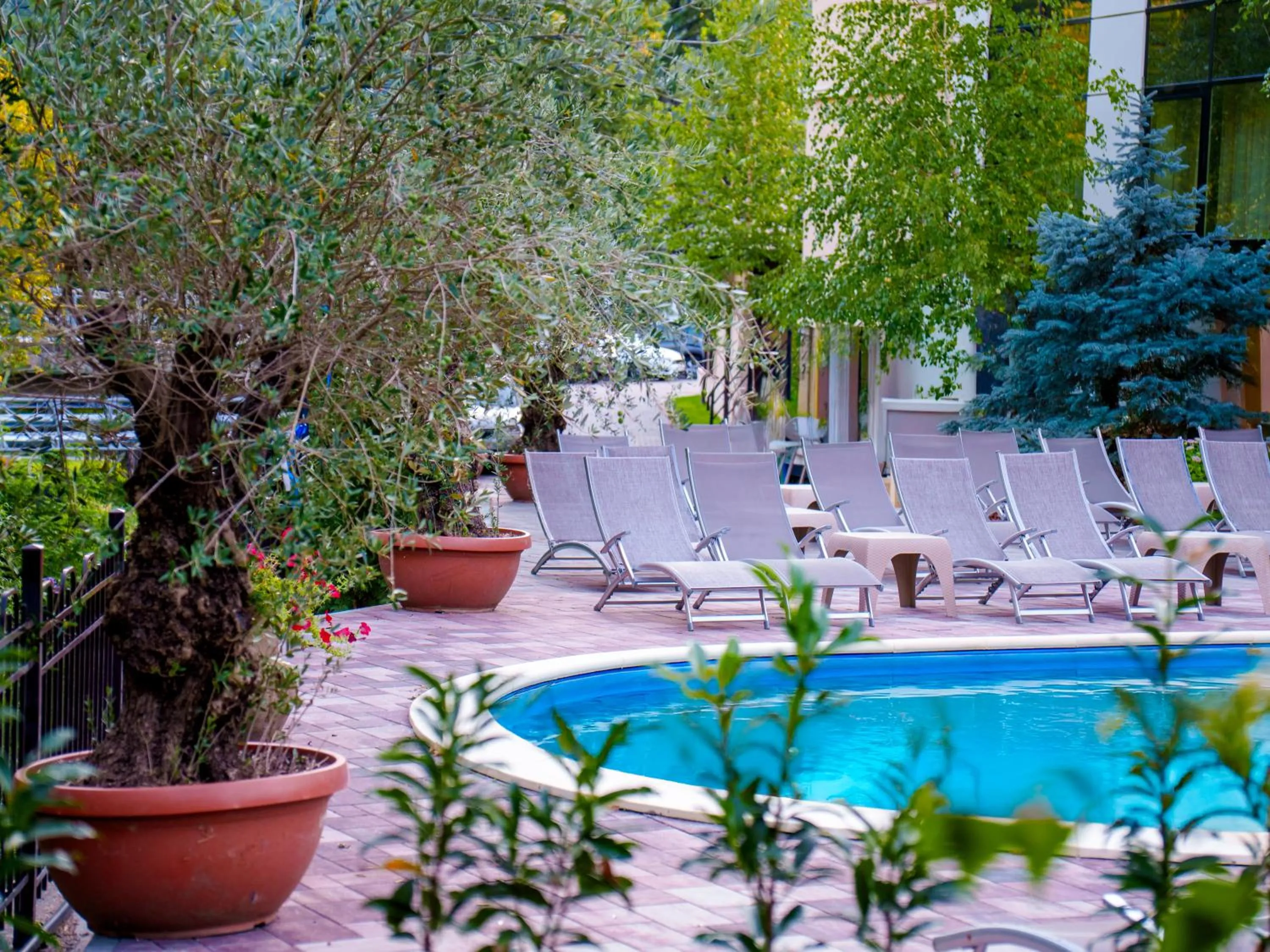 Day in Hotel IZVOARE Caciulata