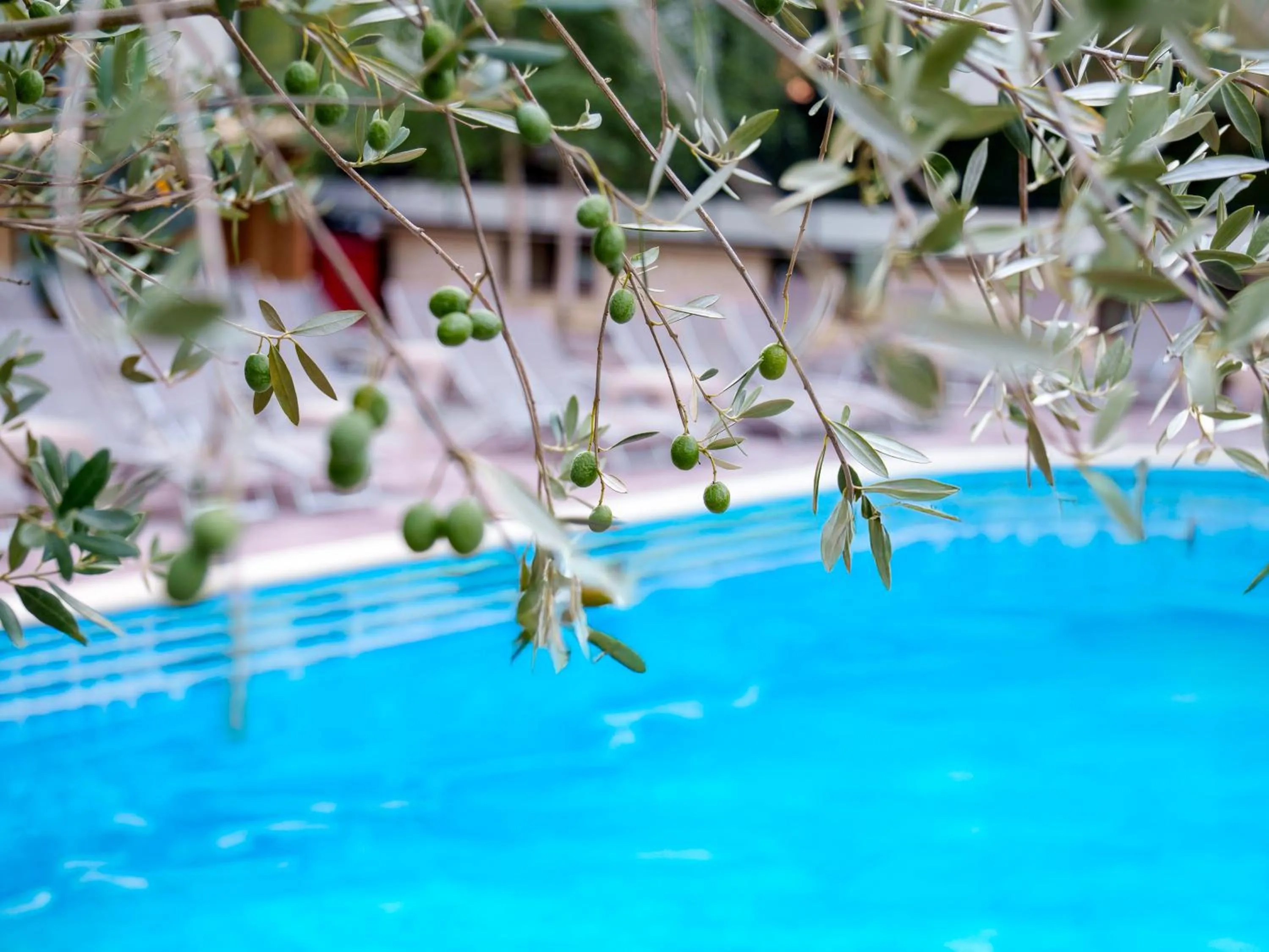 Patio in Hotel IZVOARE Caciulata
