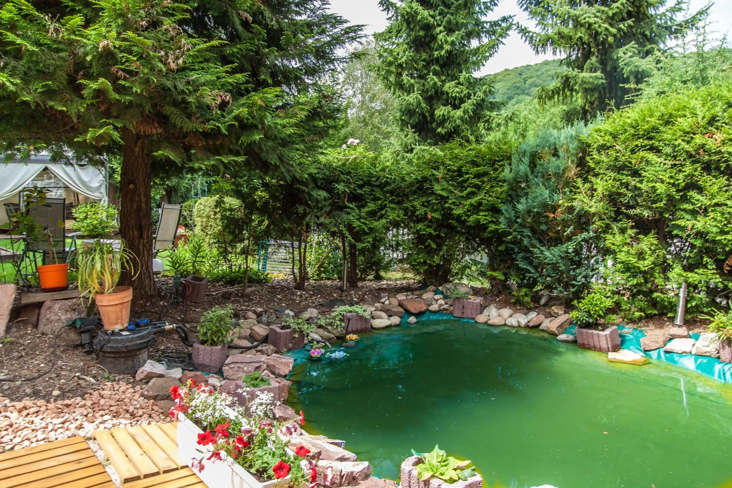 Activities in Villa Amber