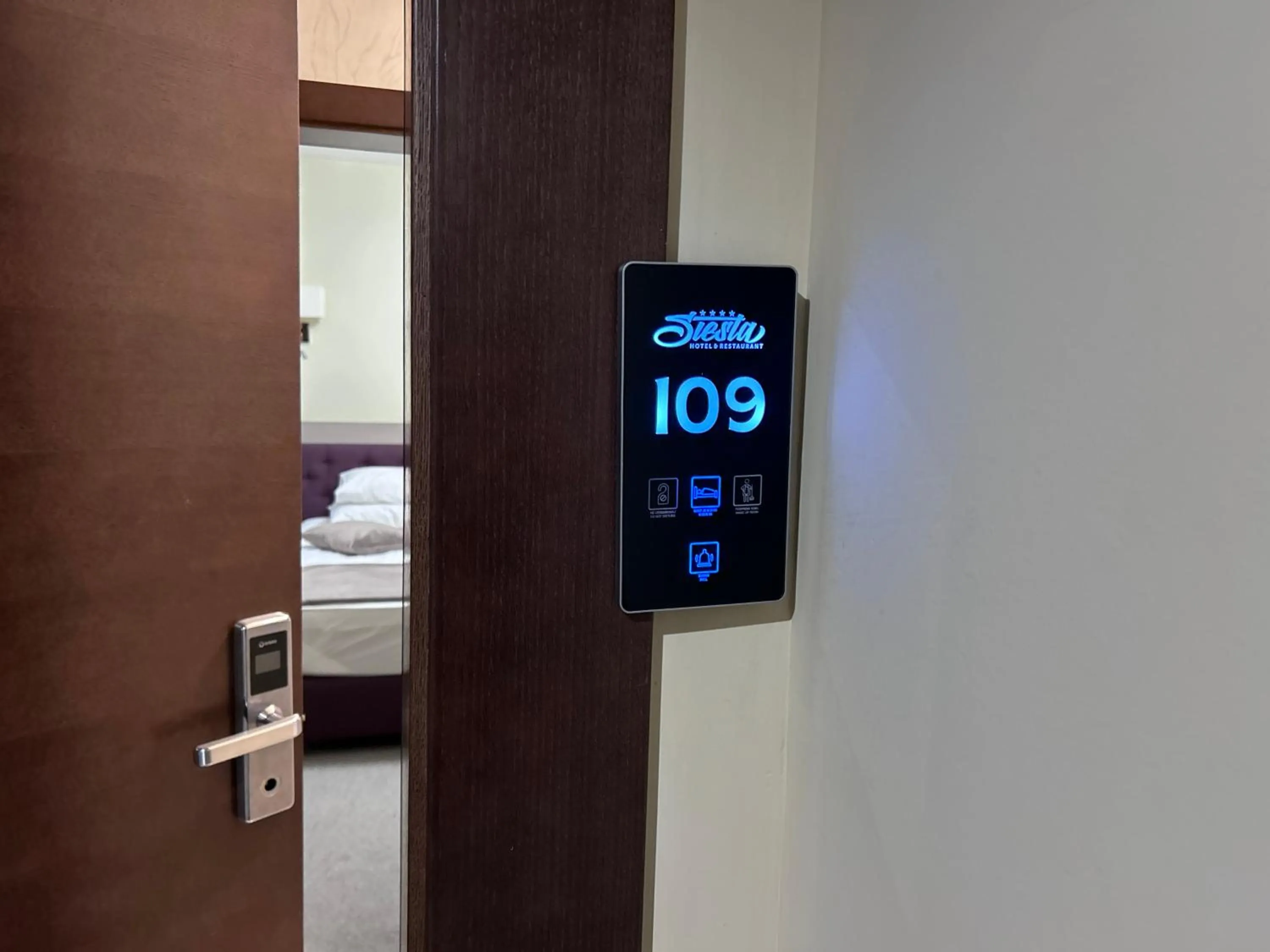 Photo of the whole room in Hotel Siesta