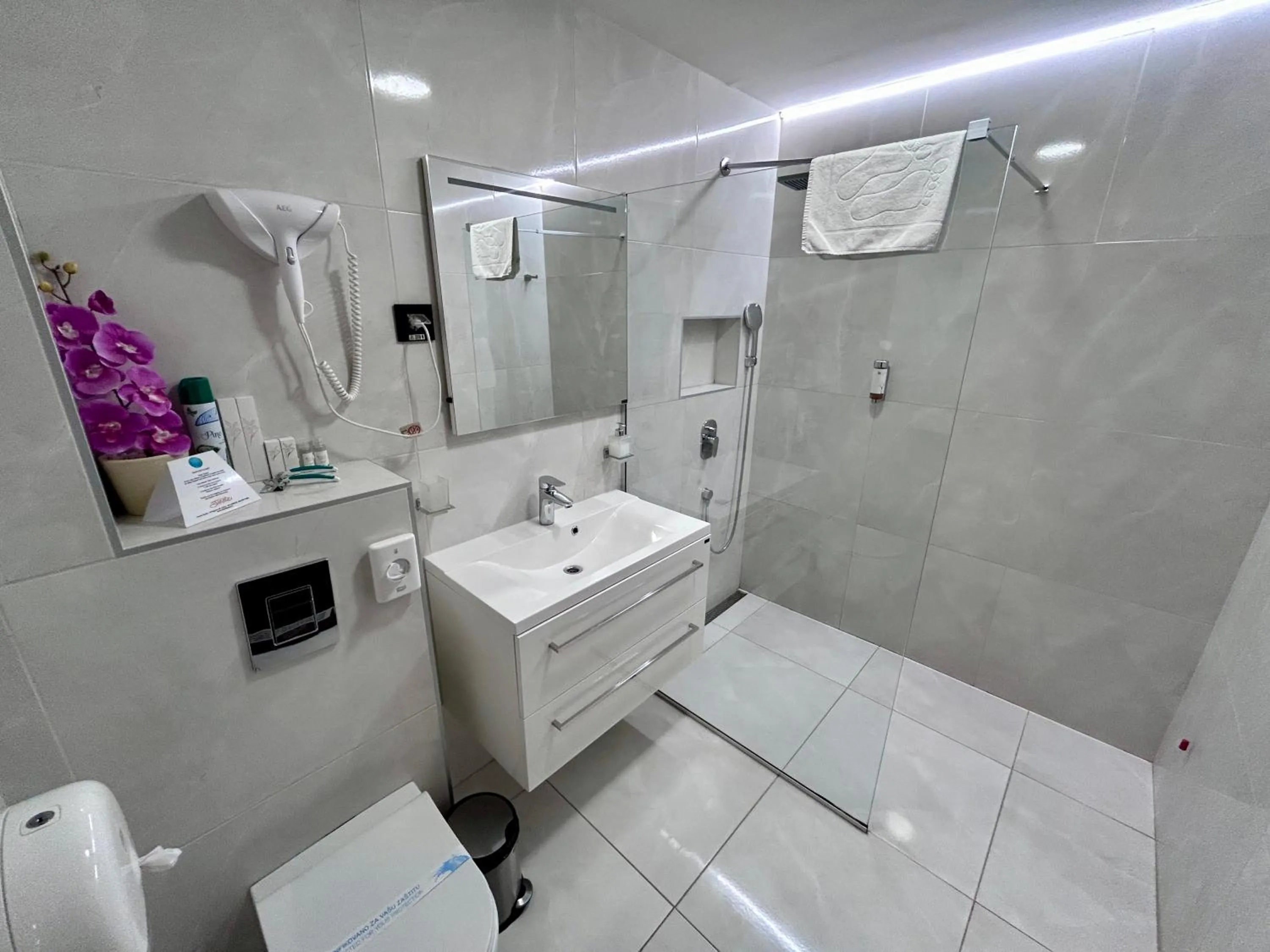 Shower in Hotel Siesta