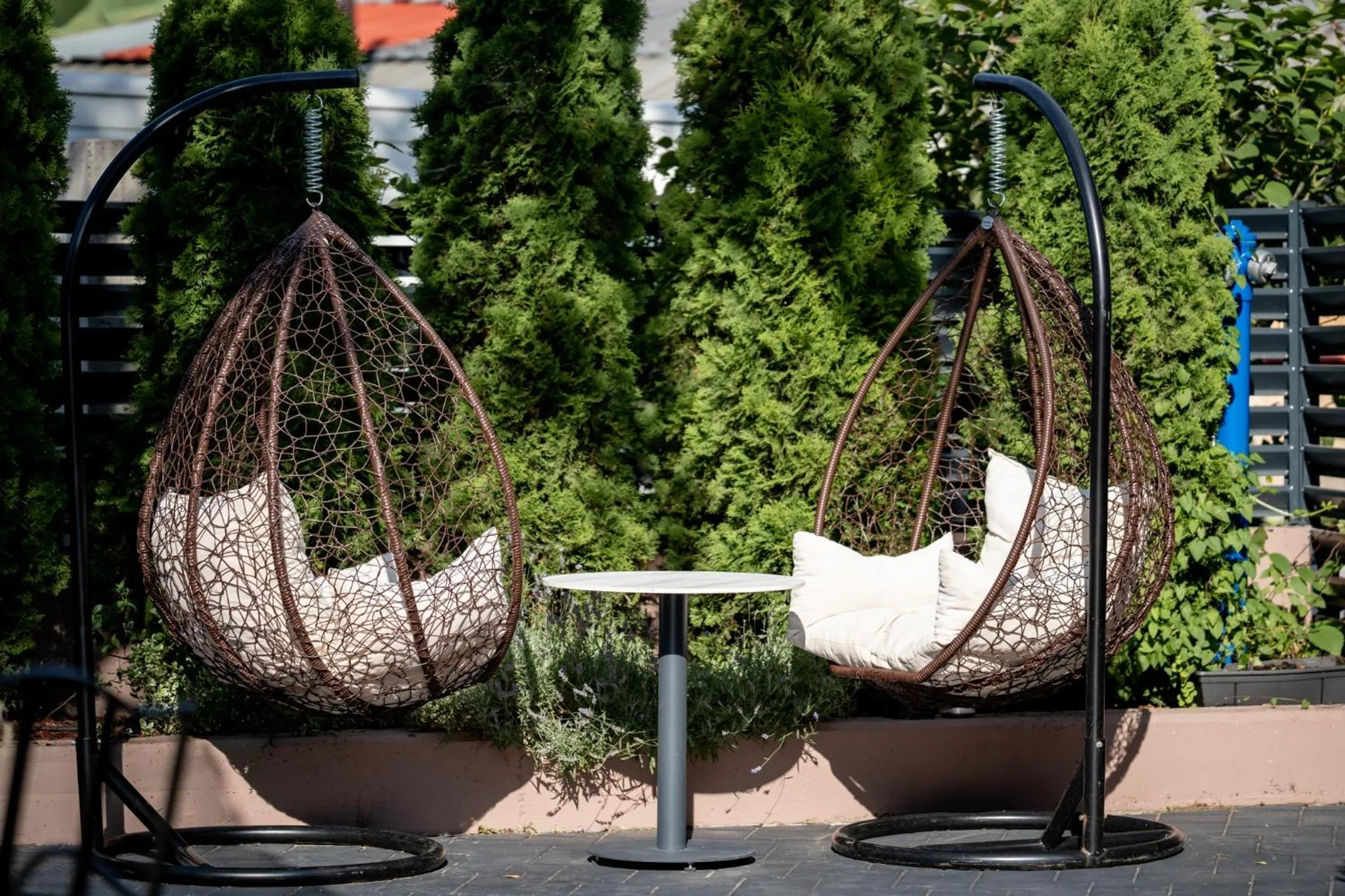 Restaurant/places to eat in Hotel Siesta