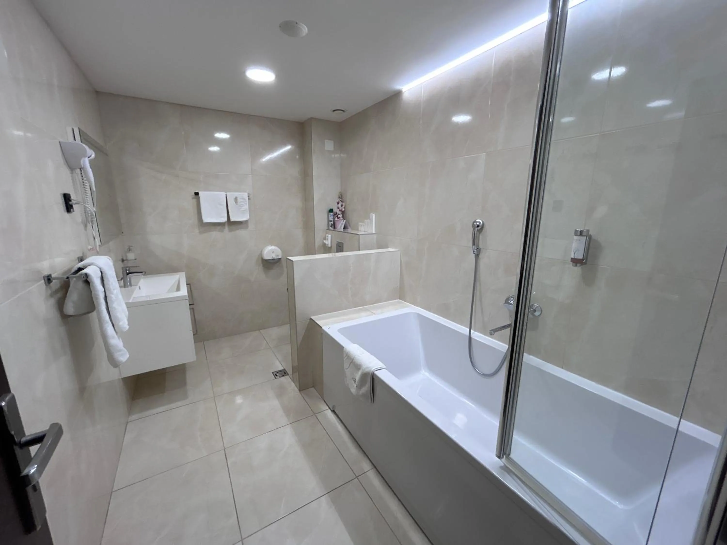 Toilet in Hotel Siesta