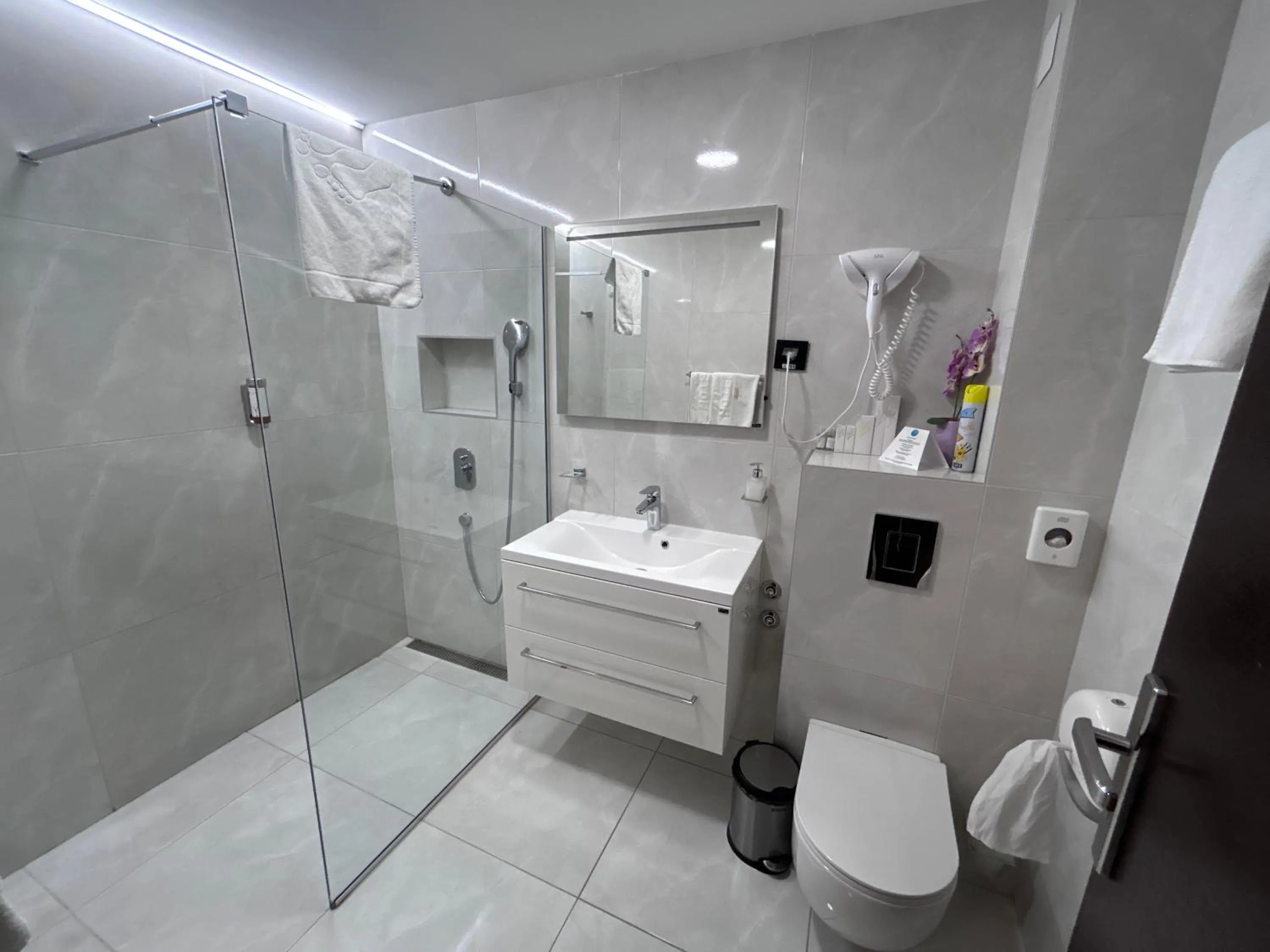 Shower in Hotel Siesta