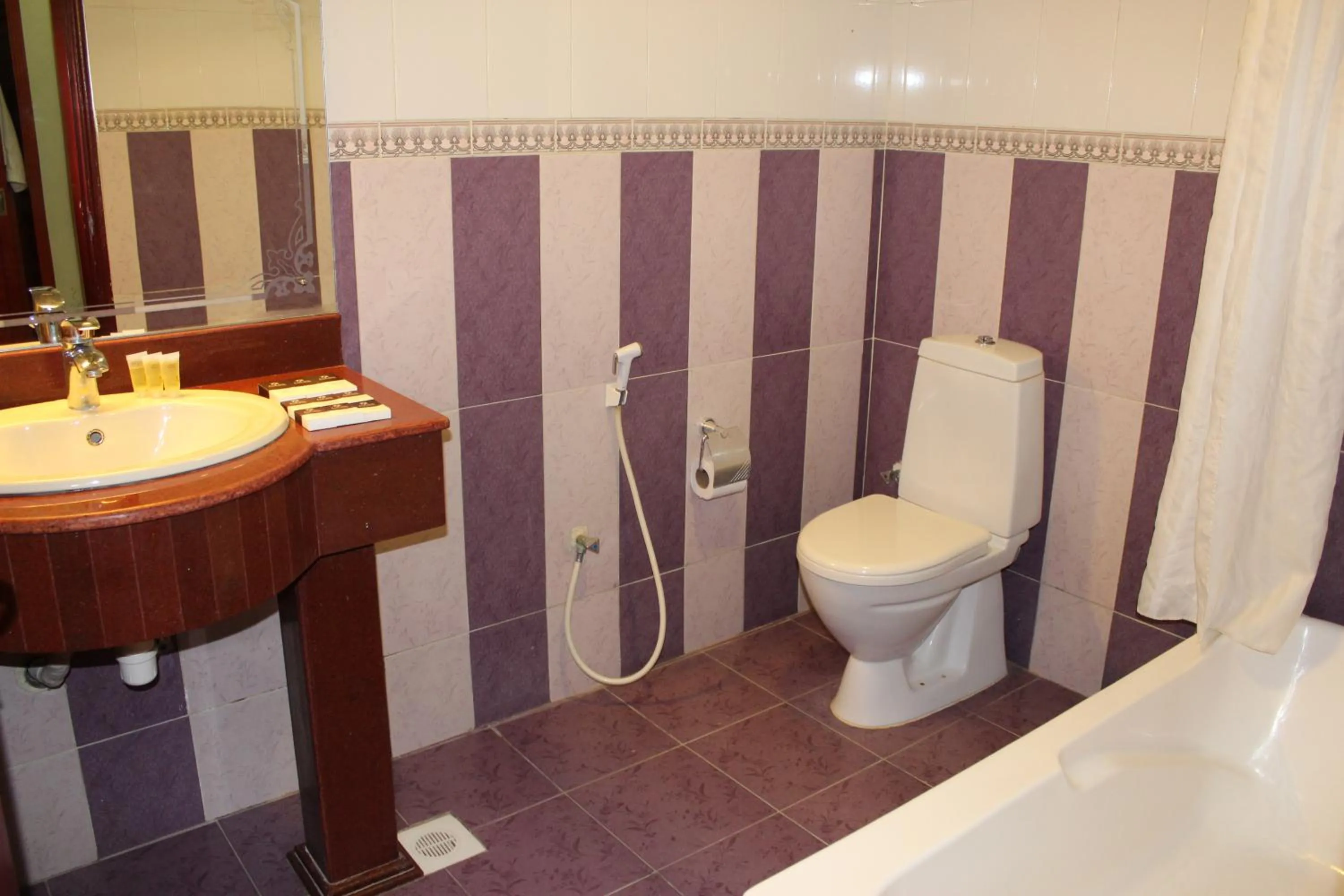 Bathroom in Al Jabal Hotel