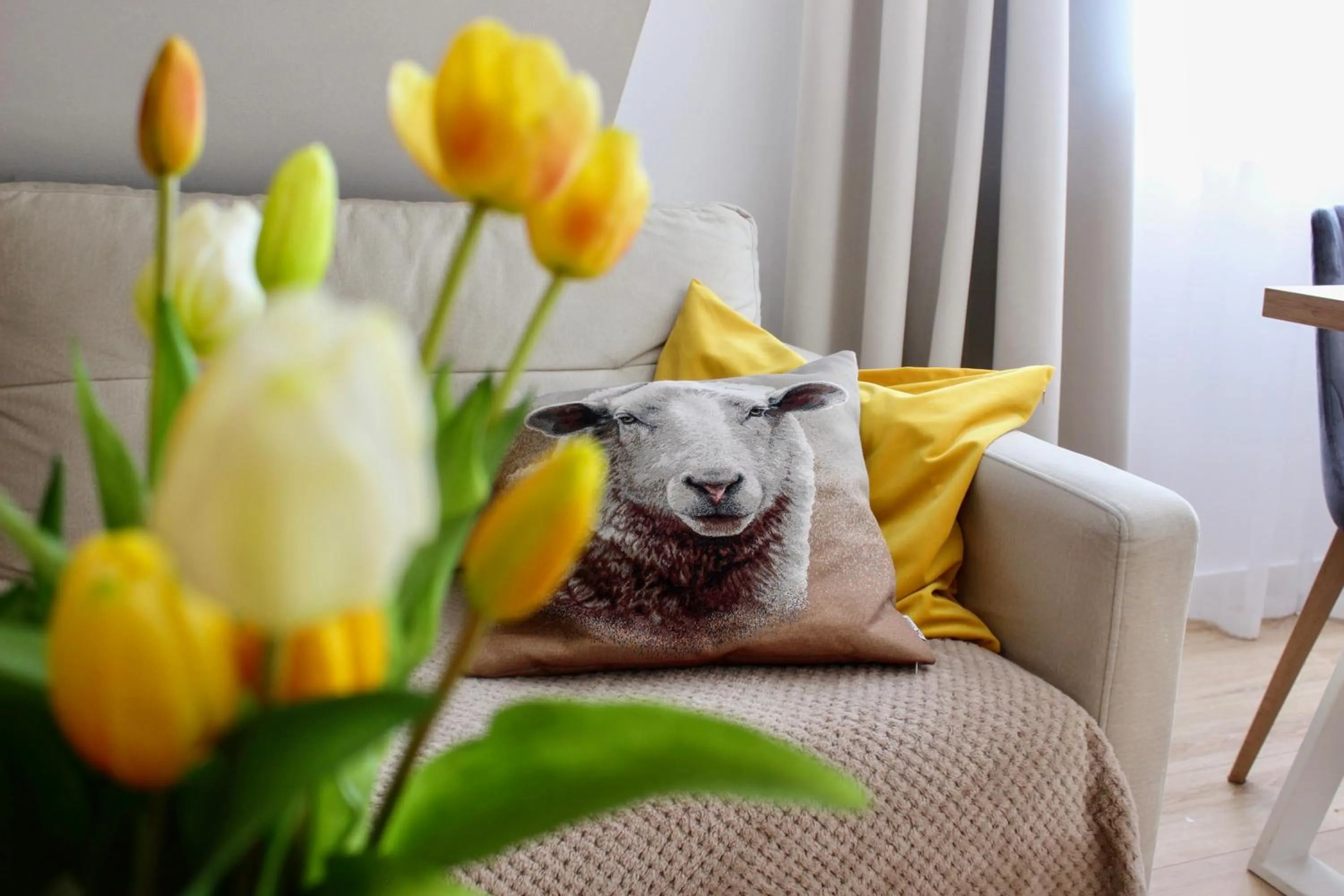 Living room in Askana