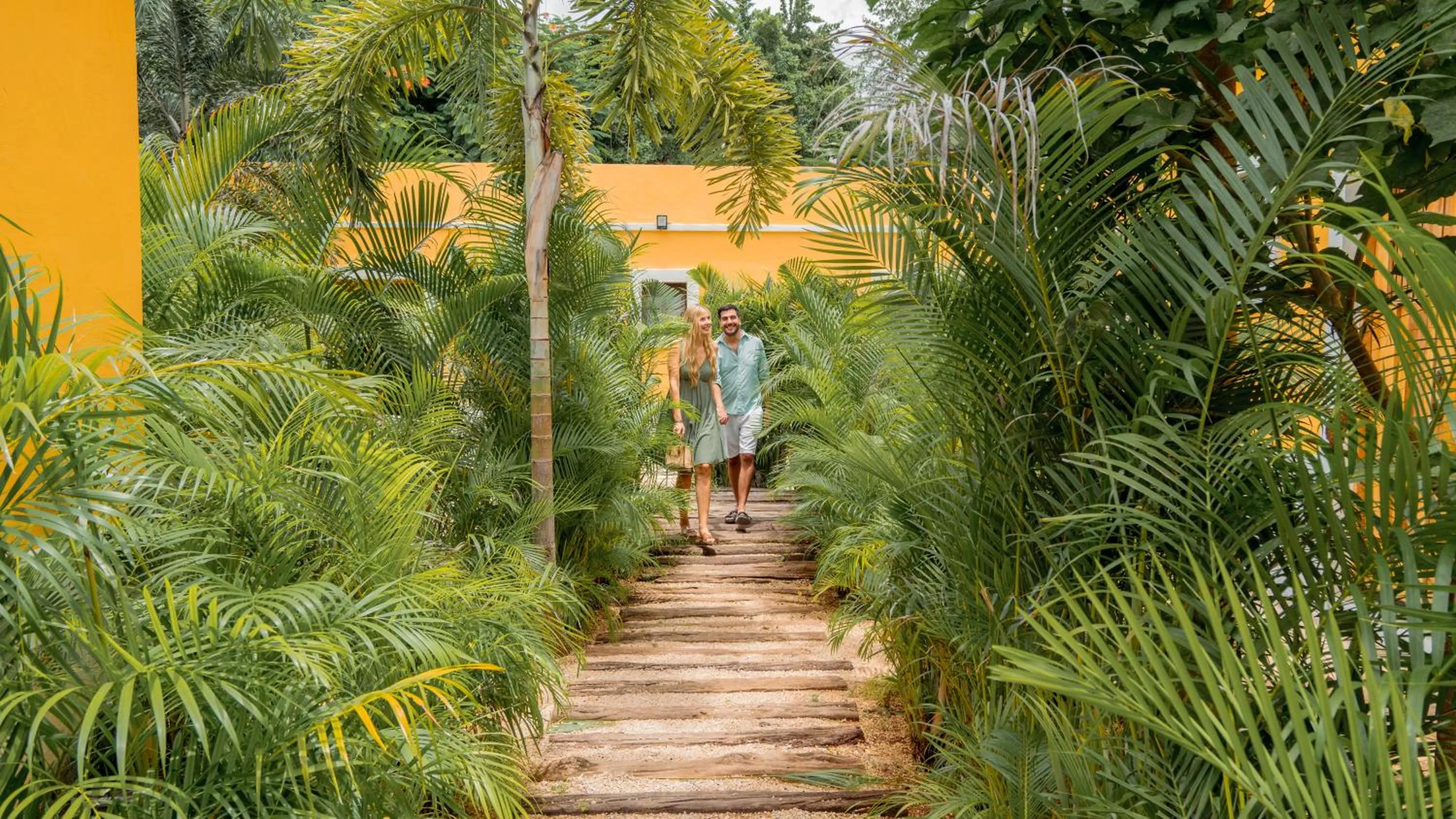 Garden view in Hotel Unknown