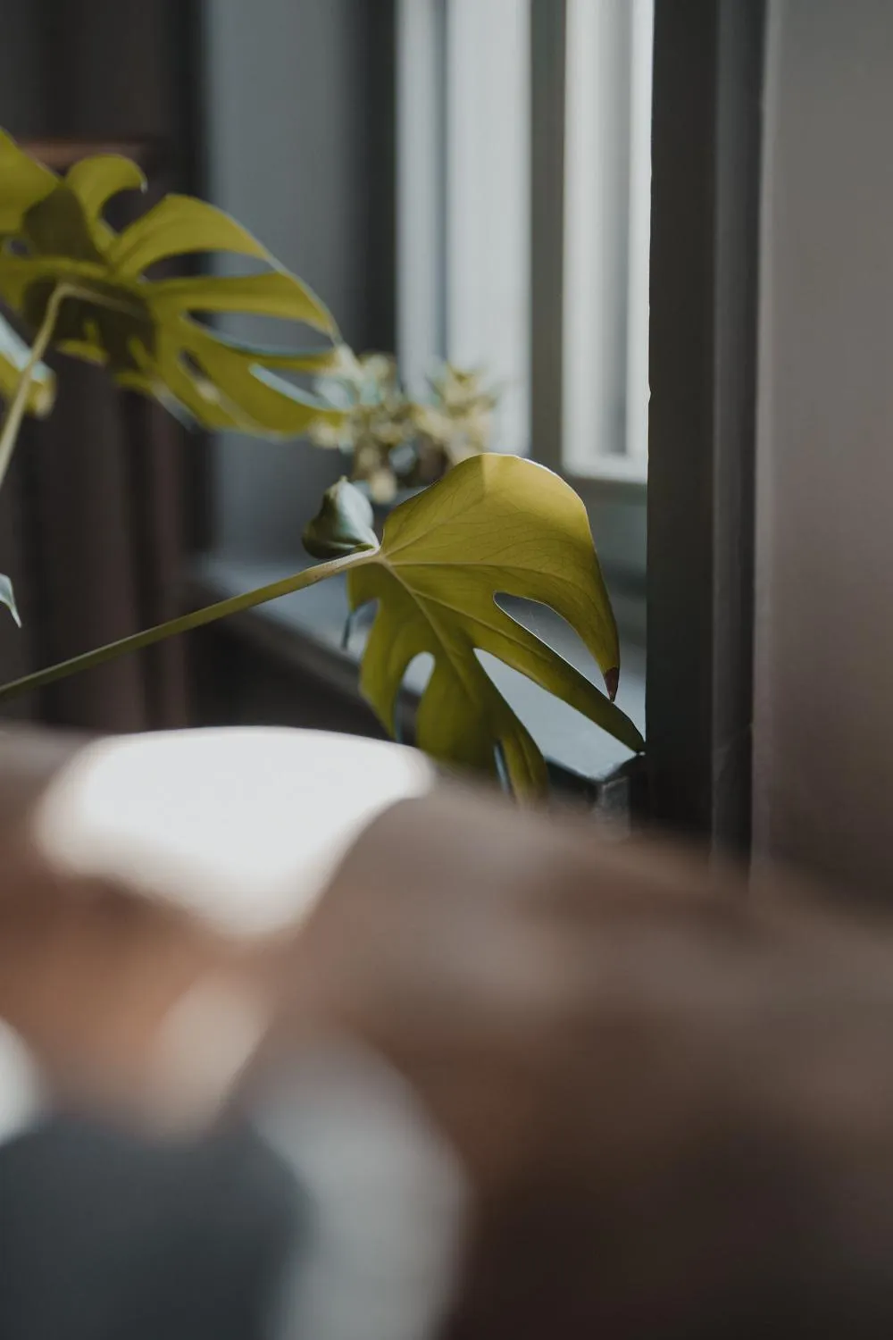 Decorative detail in No8 Boutique Hotel - self check in