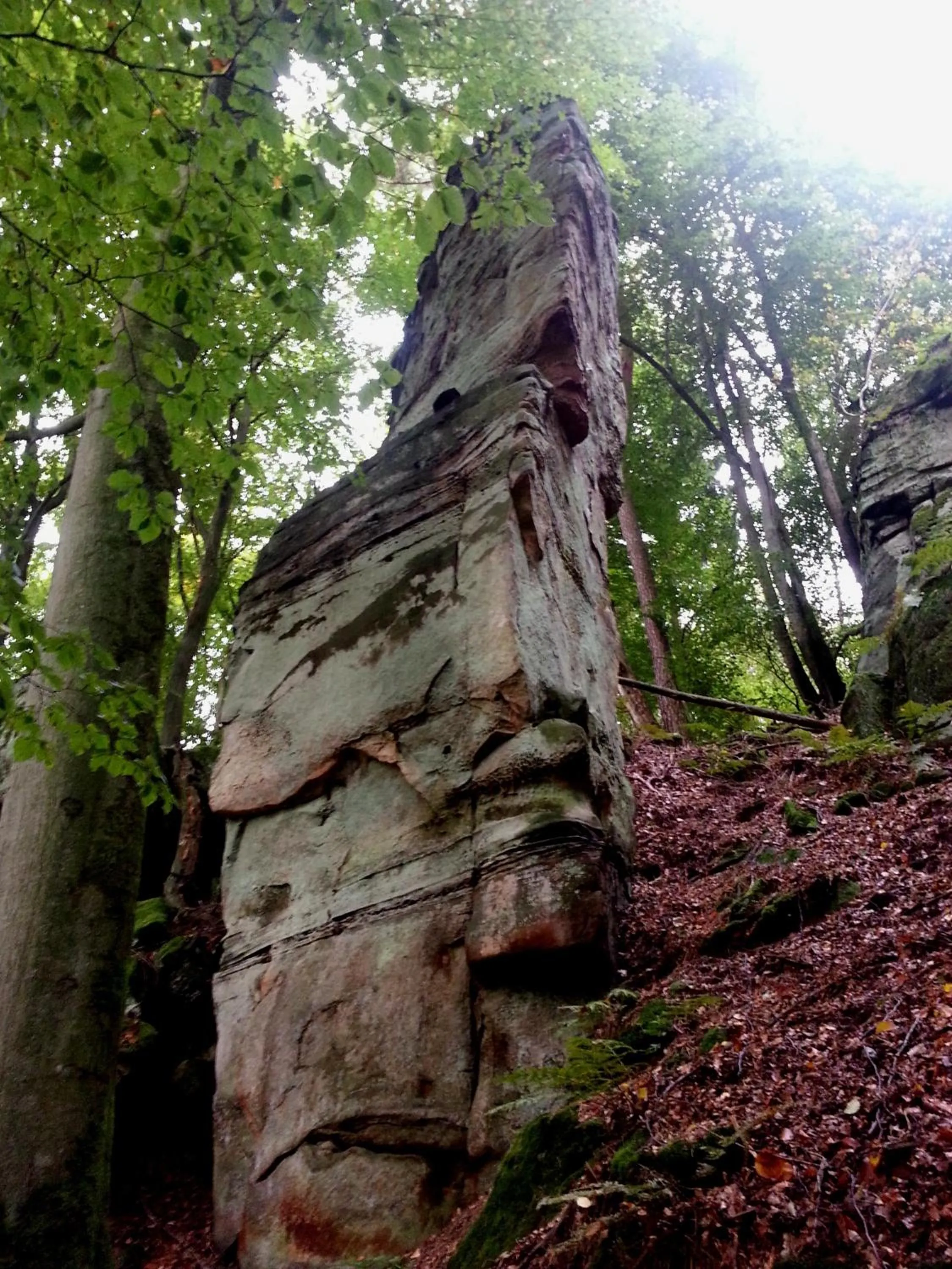 Day in Hotel Ritschlay