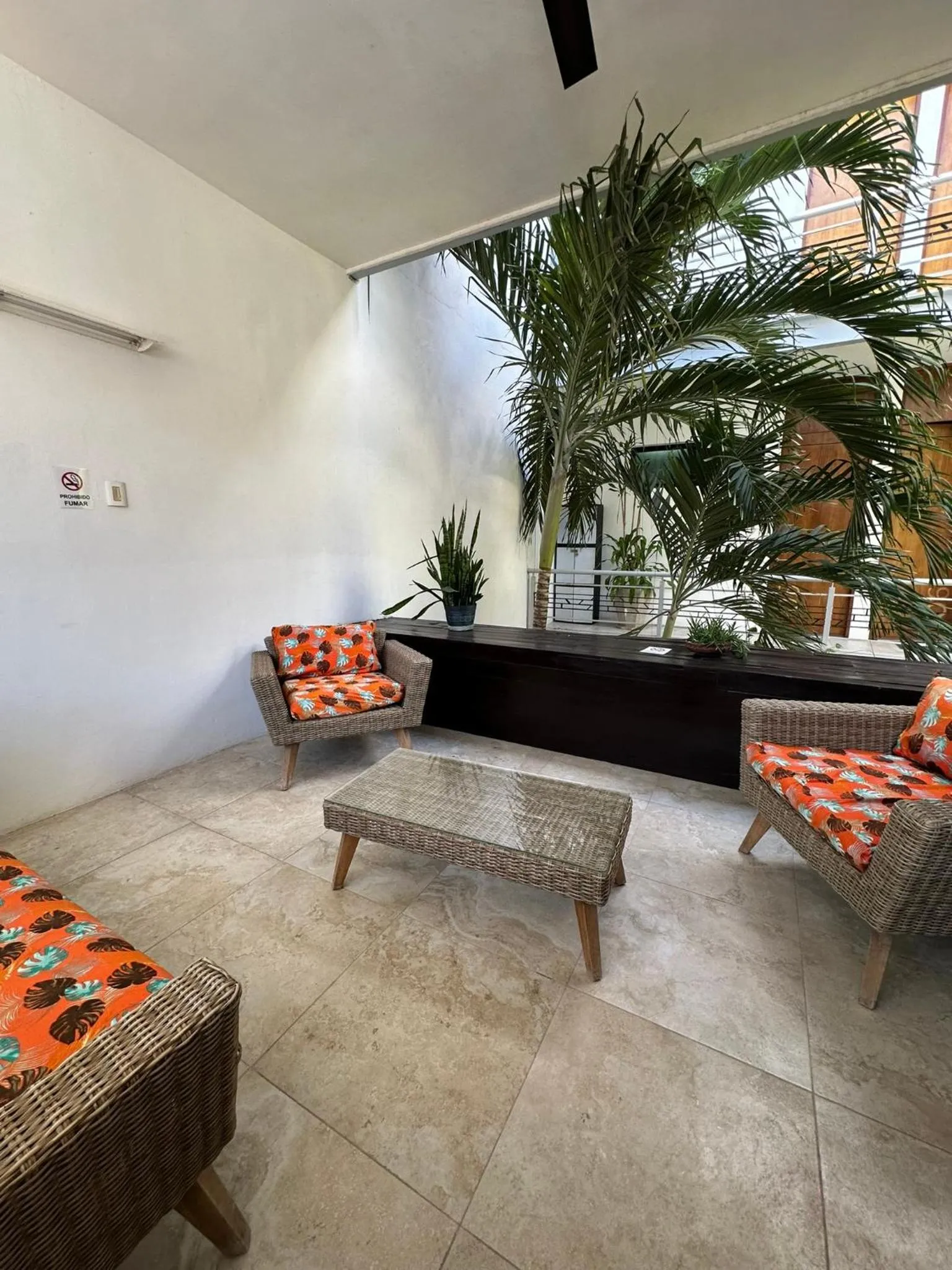 Balcony/Terrace in Hotel Boutique