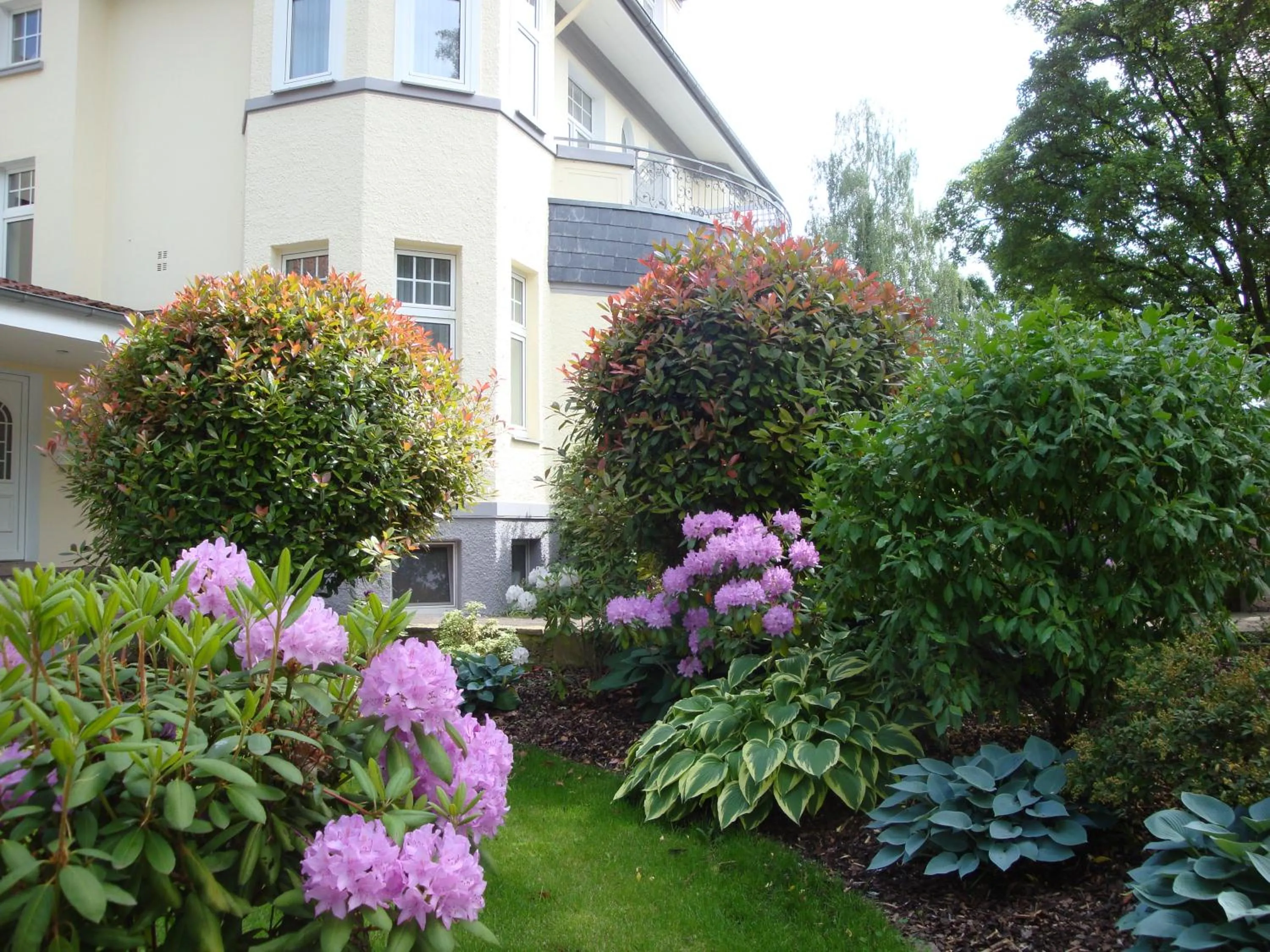 Property building in Hotel Bellevue