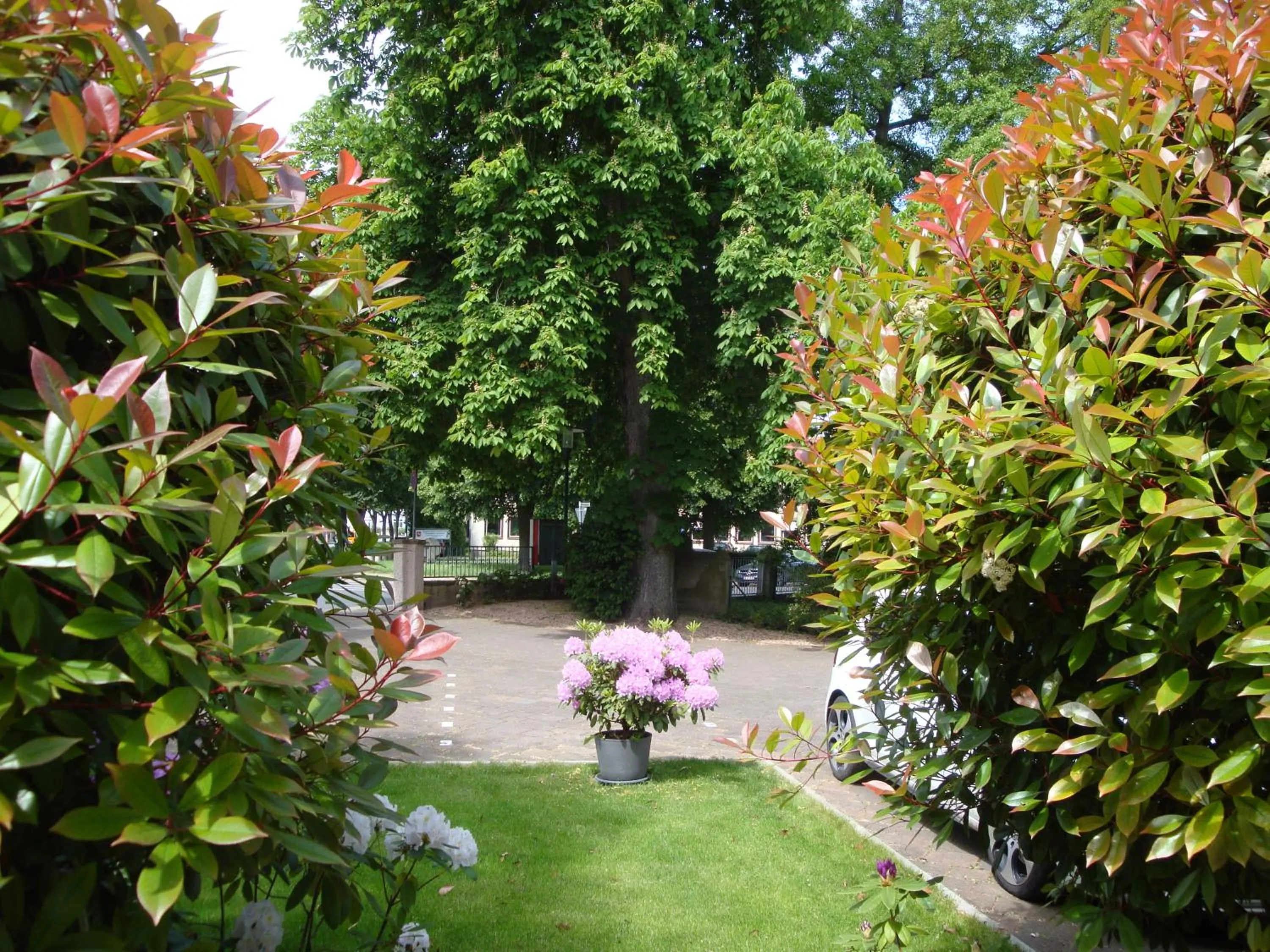 Property building in Hotel Bellevue