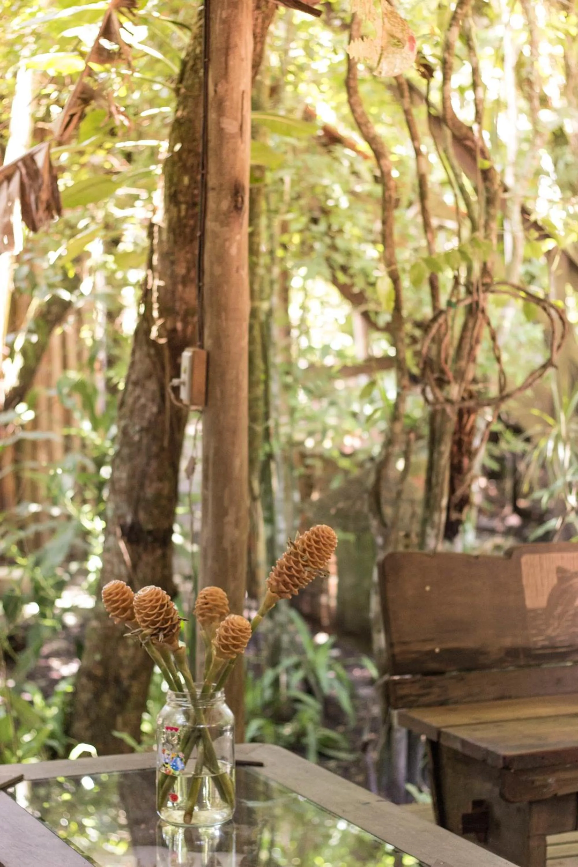 Lounge or bar in Hotel Pousada Praia do Farol