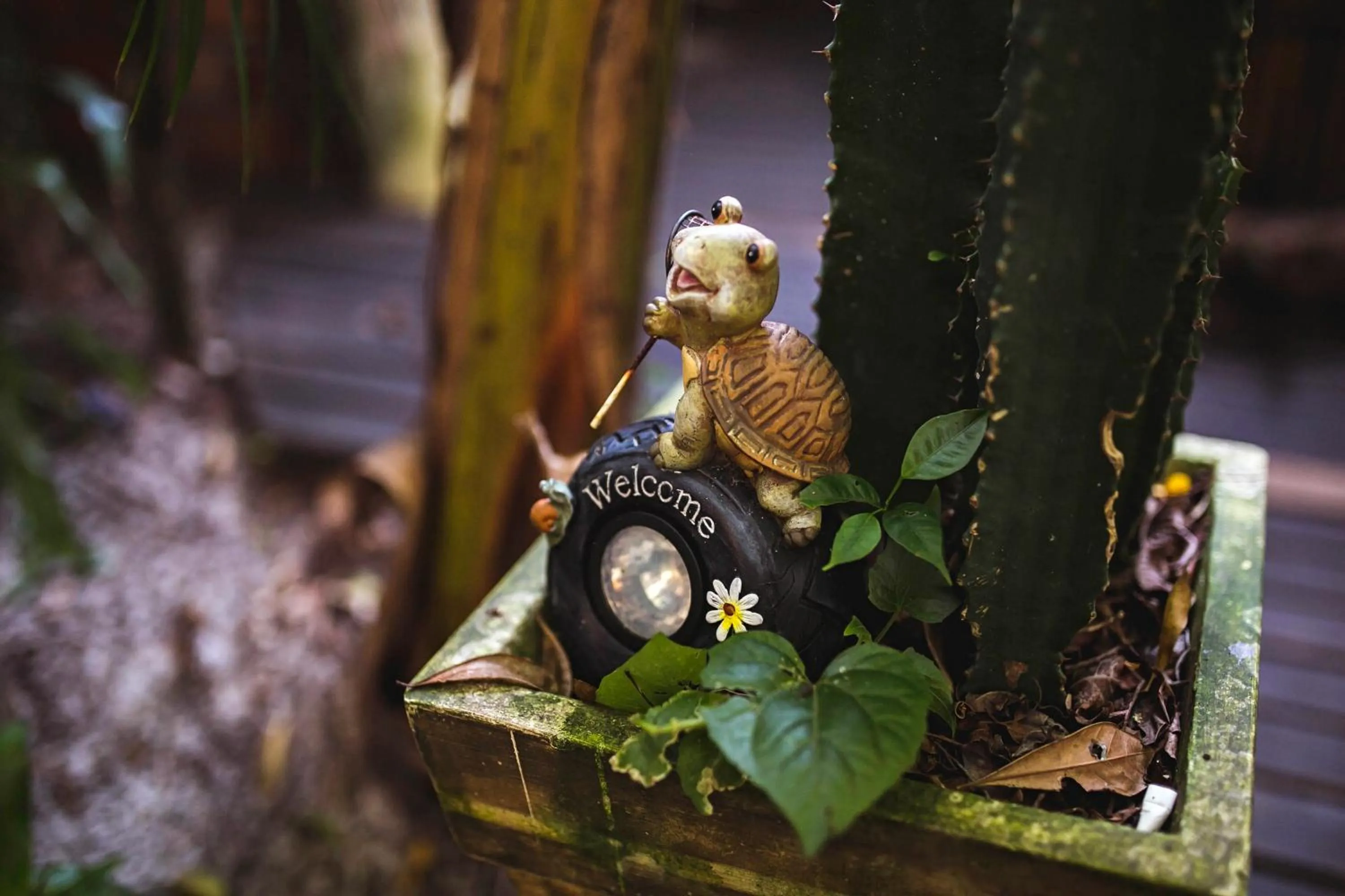 Hotel Pousada Praia do Farol