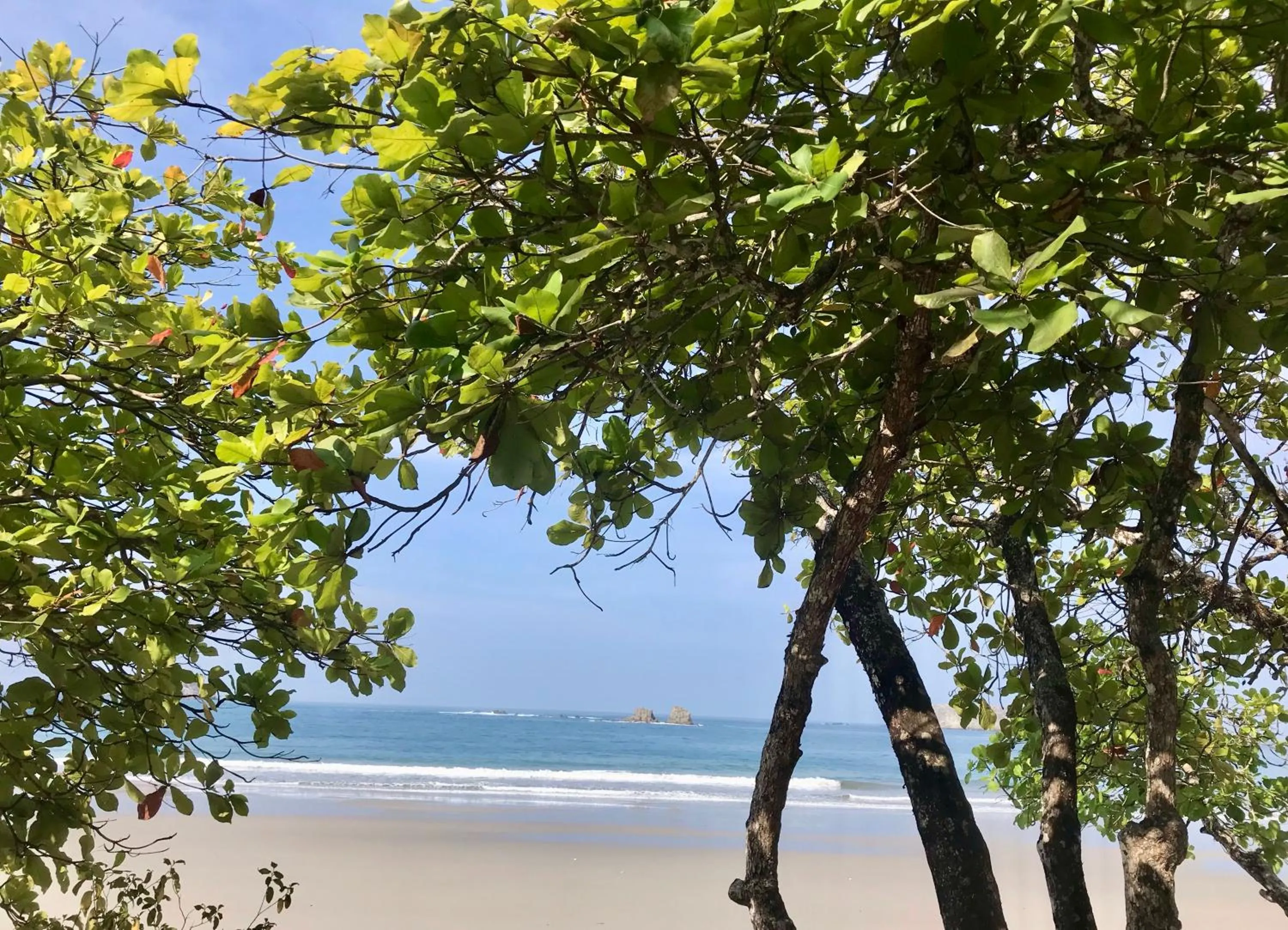 Natural landscape in Hotel Playa Espadilla & Gardens