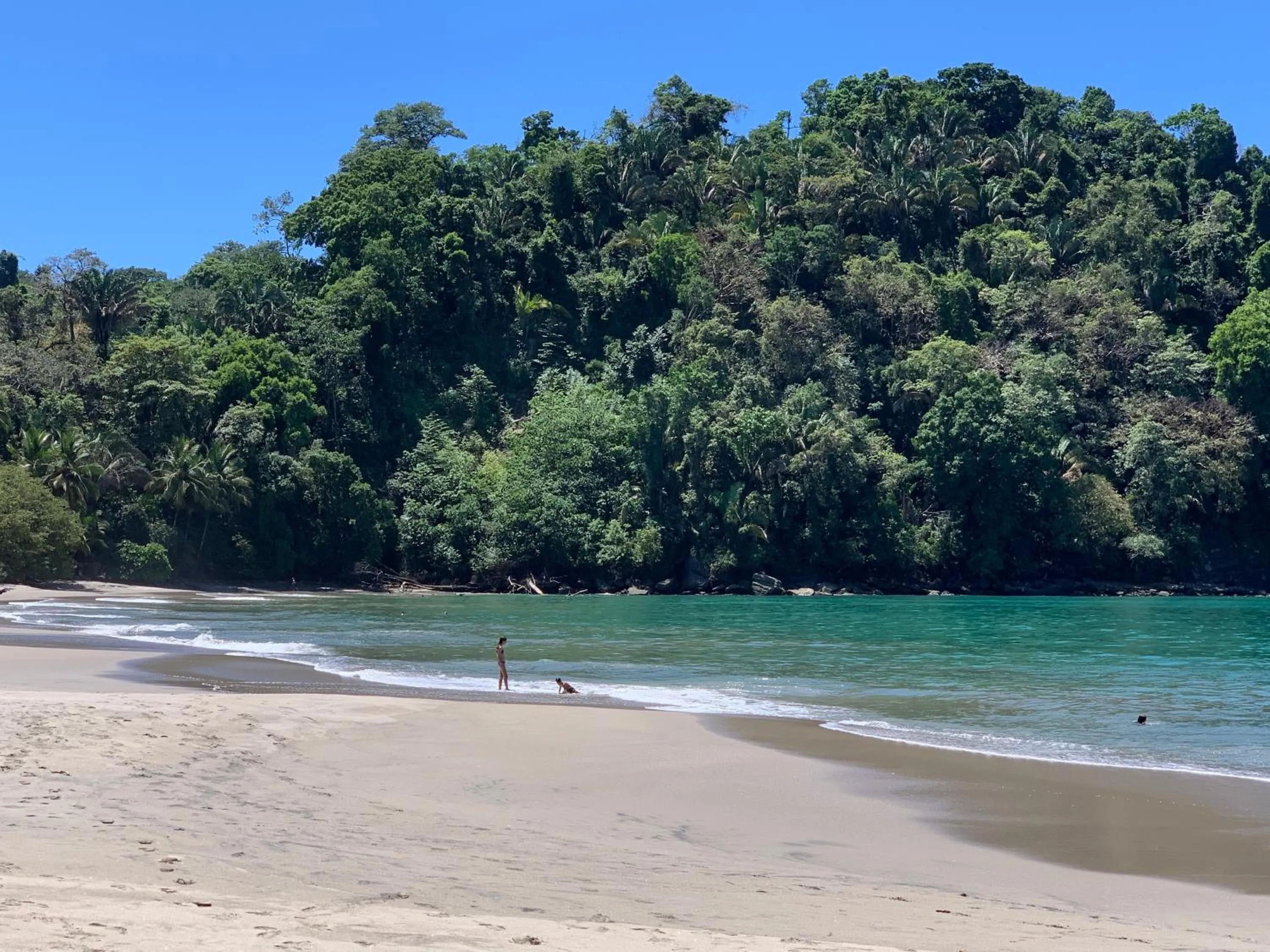 Nearby landmark in Hotel Playa Espadilla & Gardens
