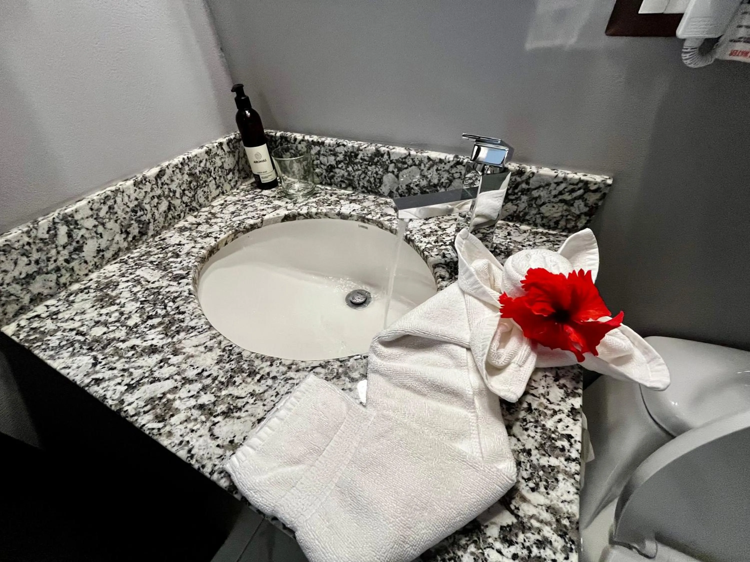 Bathroom in Hotel Playa Espadilla & Gardens