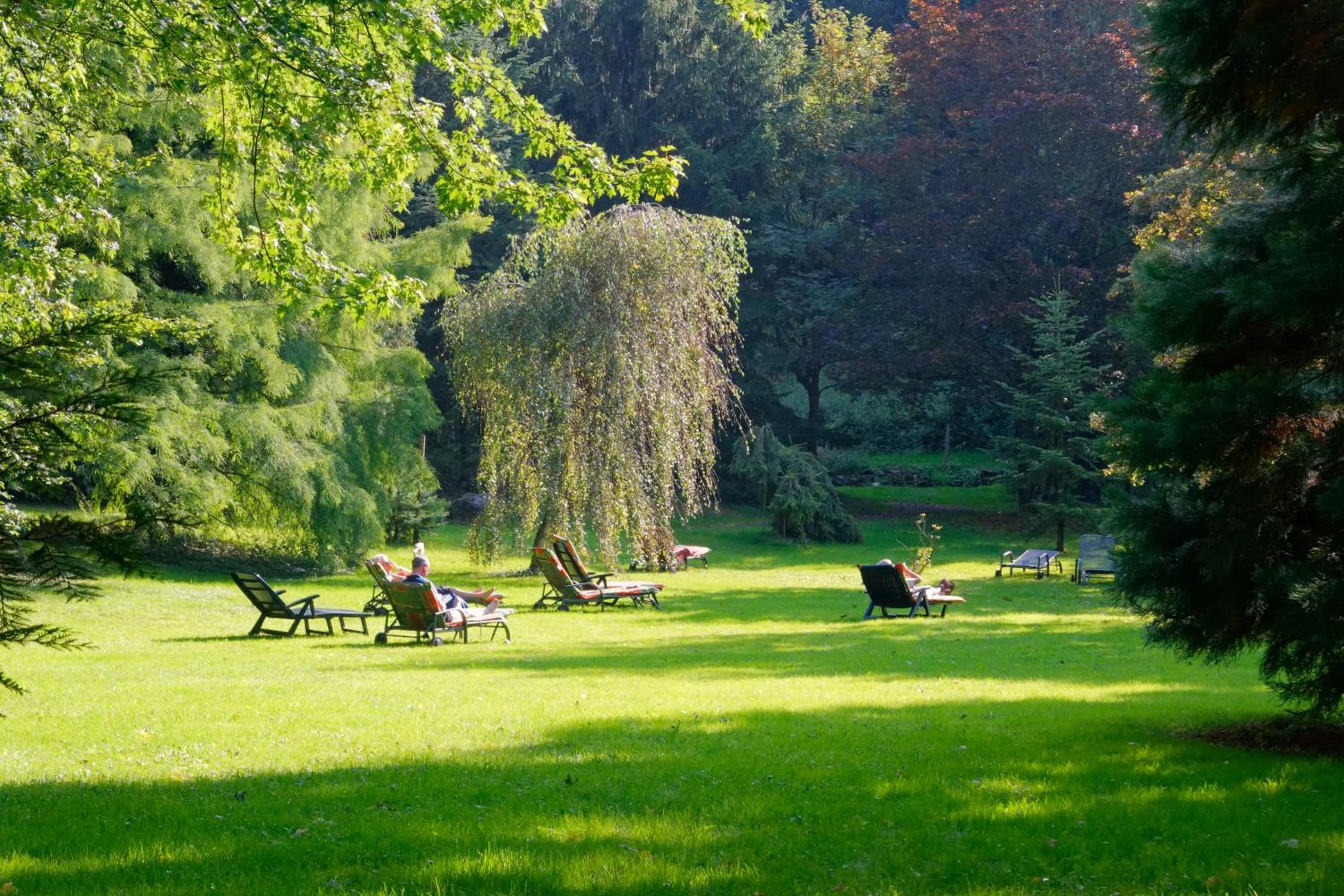 Garden in Hotel Hirschen