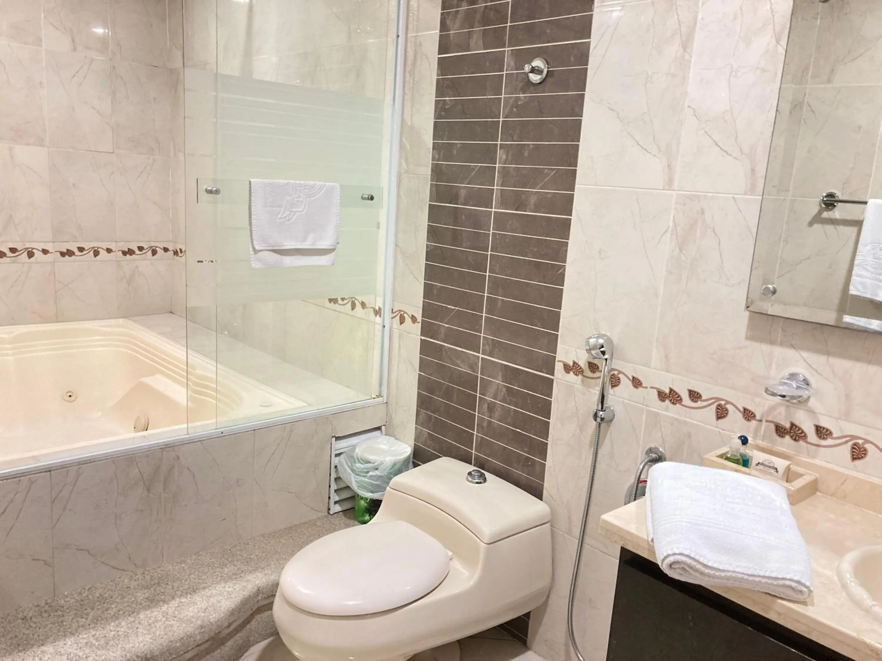 Bath in Hotel Palmera Real