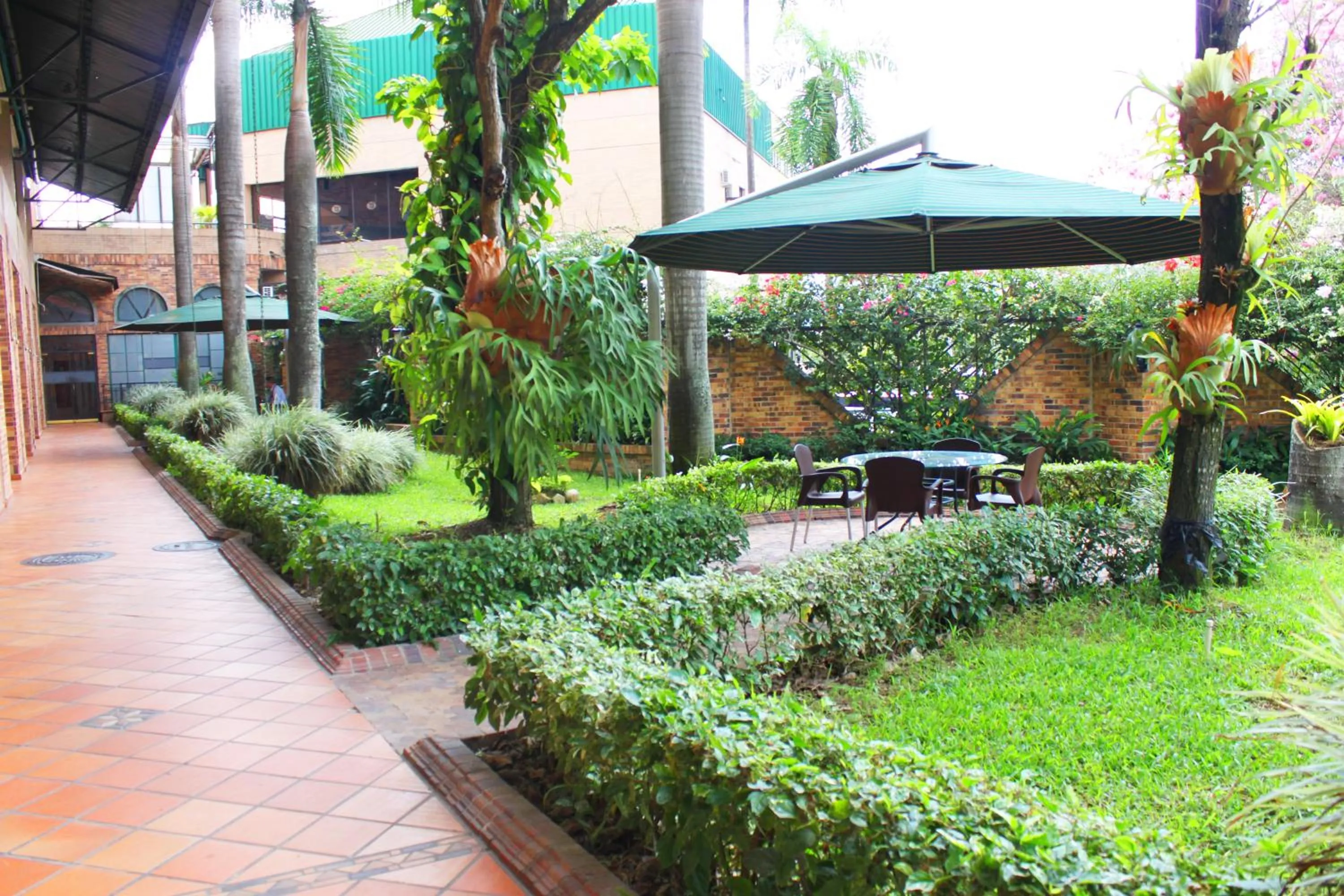 Area and facilities in Hotel Palmera Real
