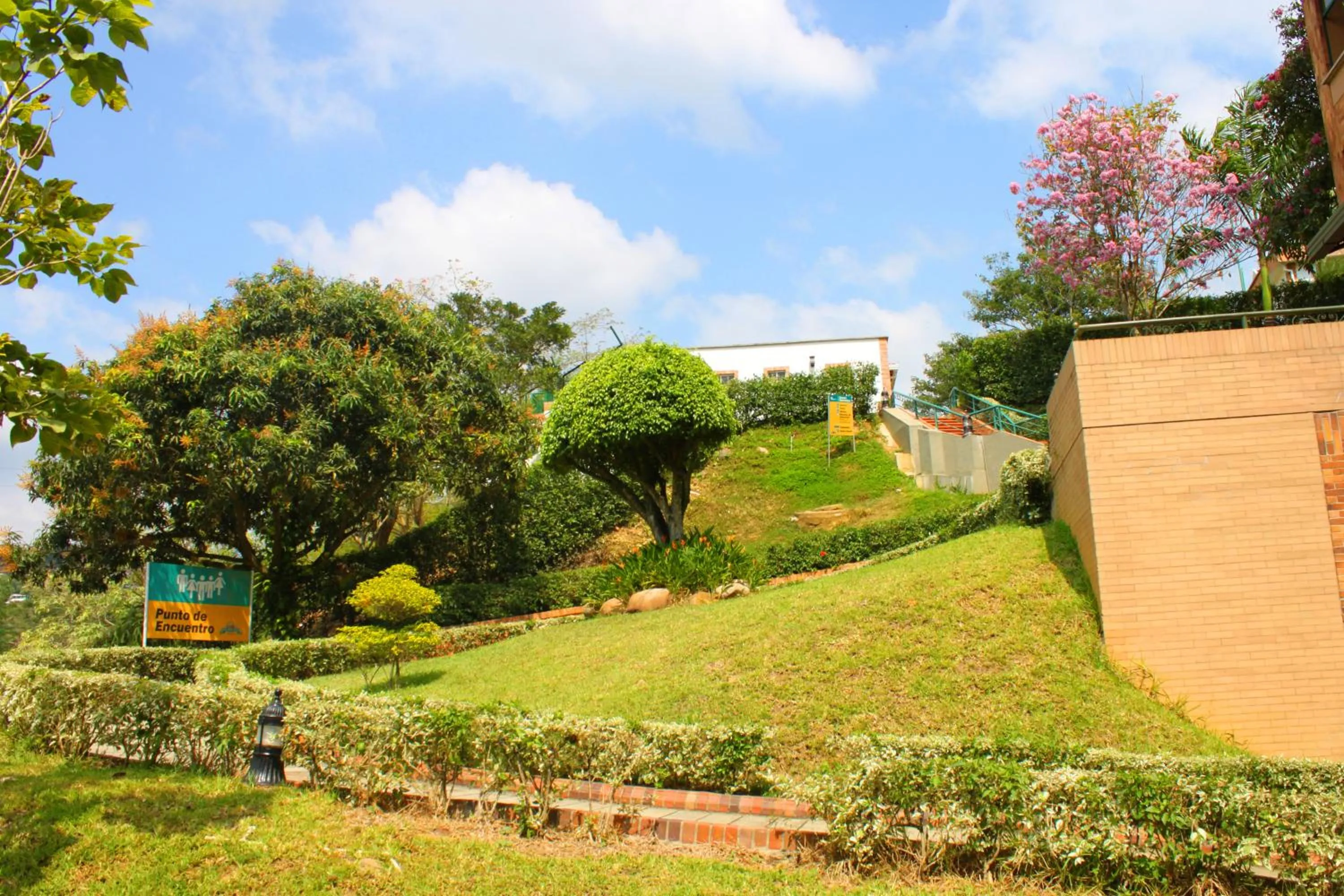 Off site in Hotel Palmera Real