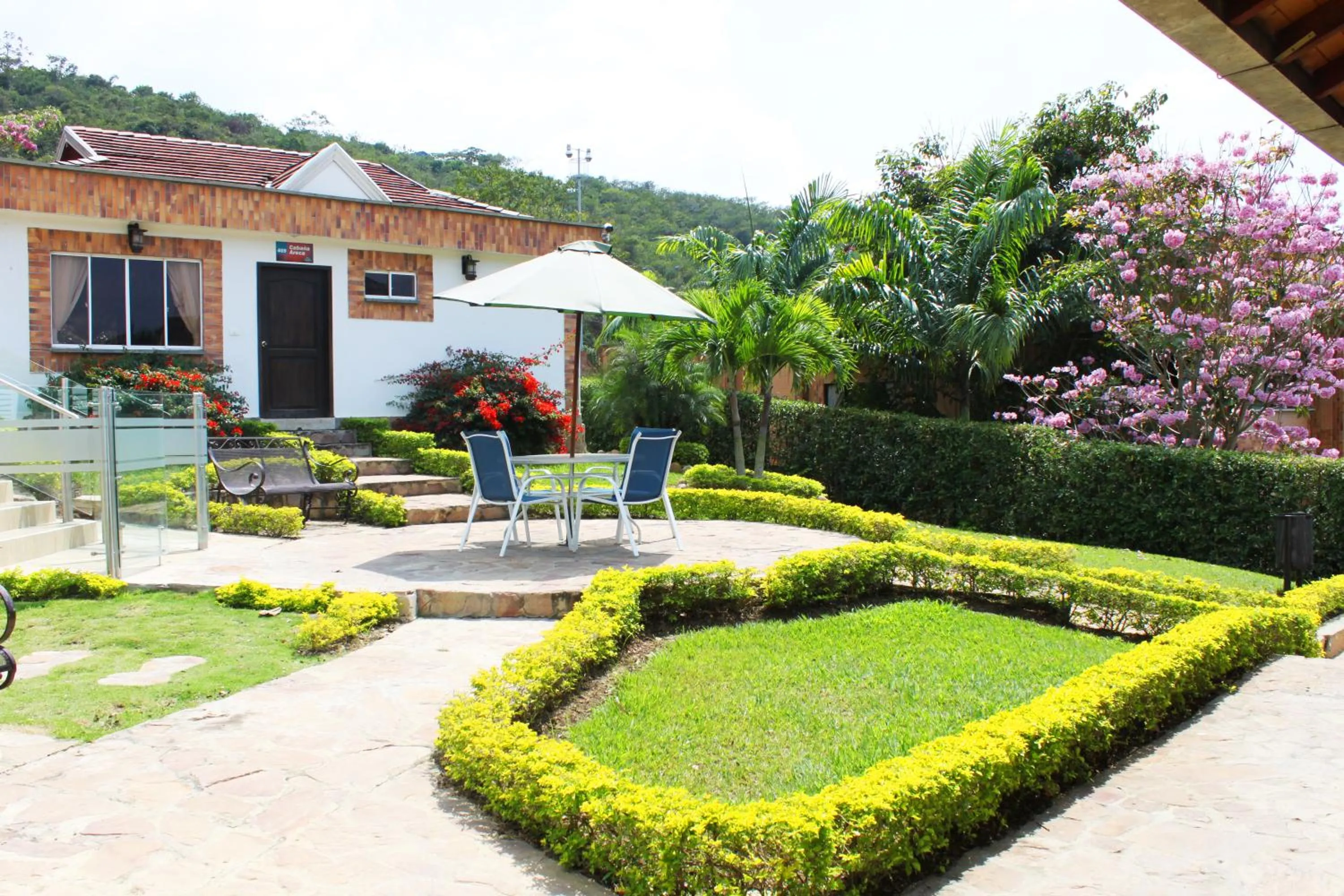 Area and facilities in Hotel Palmera Real