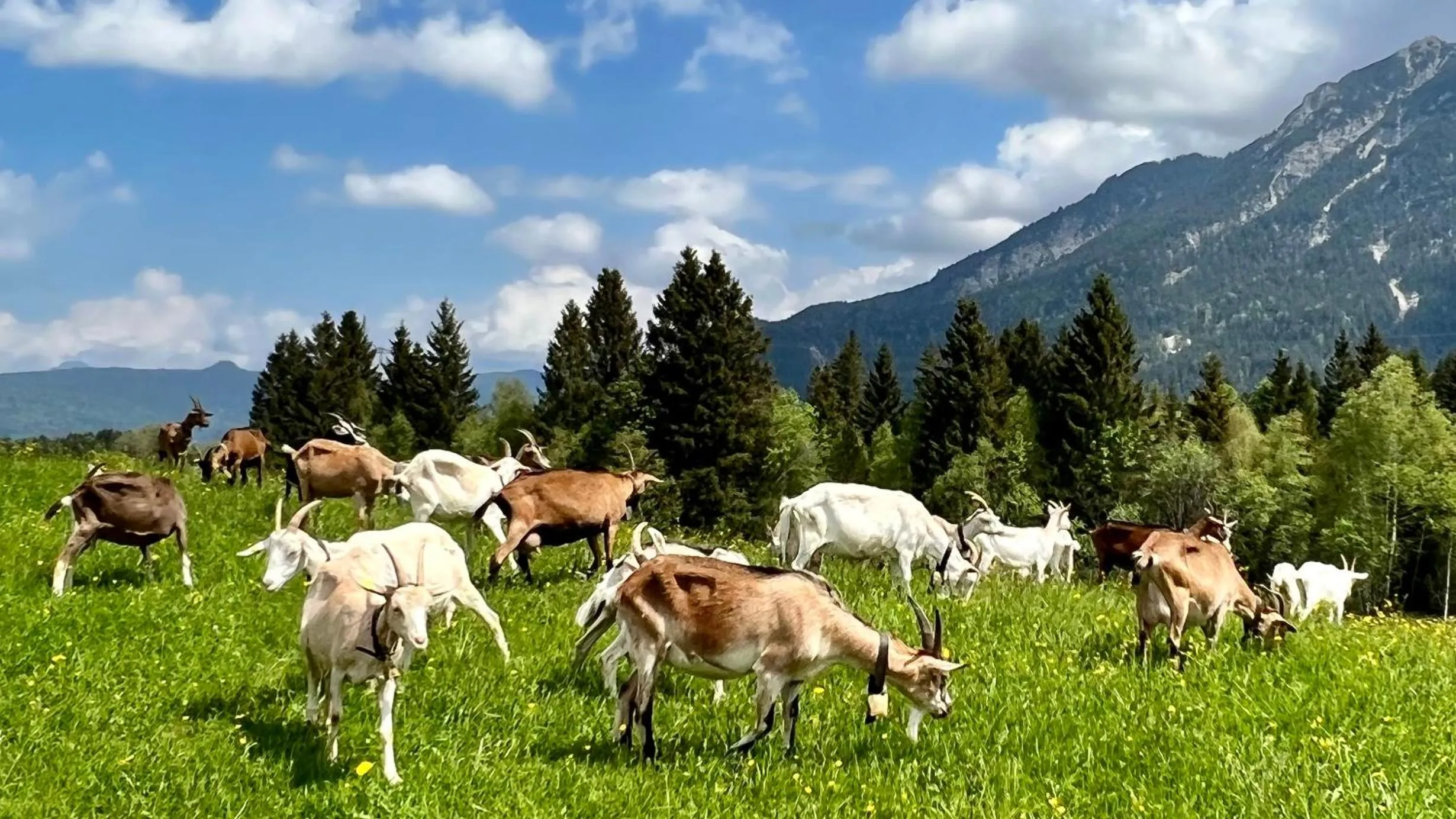 Hiking in Post-Hotel