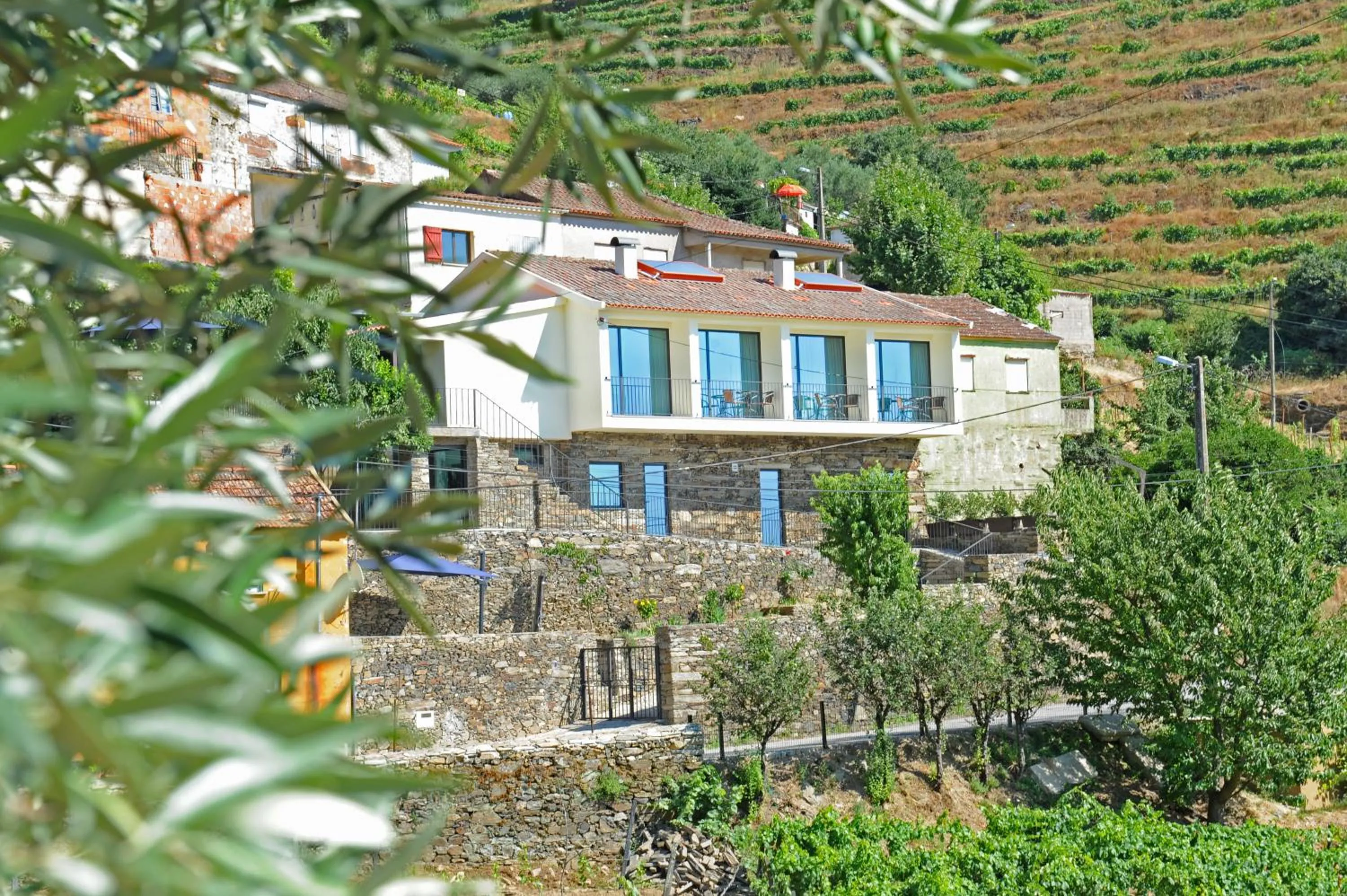 Facade/entrance in DouroXisto