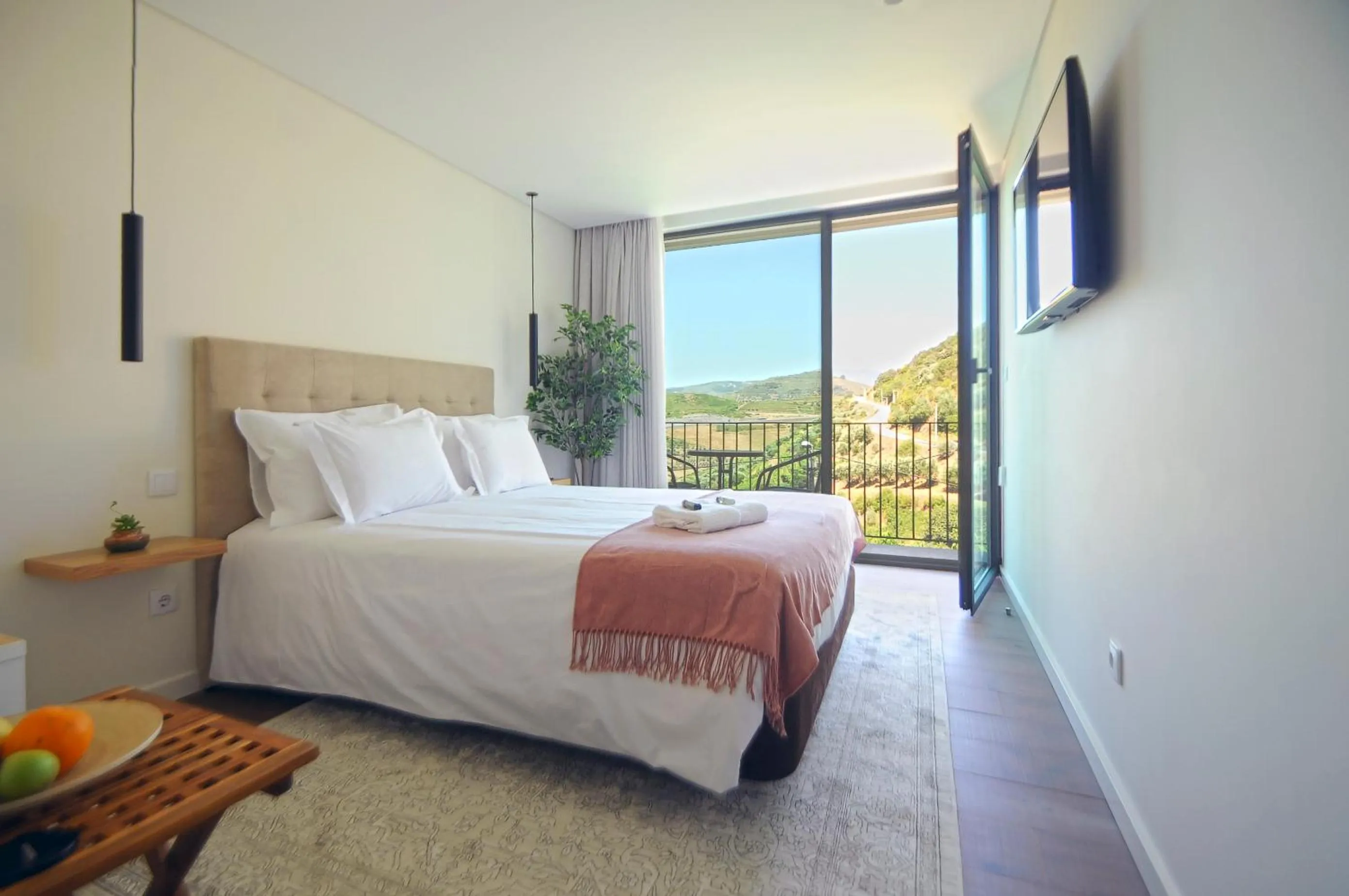 Photo of the whole room in DouroXisto