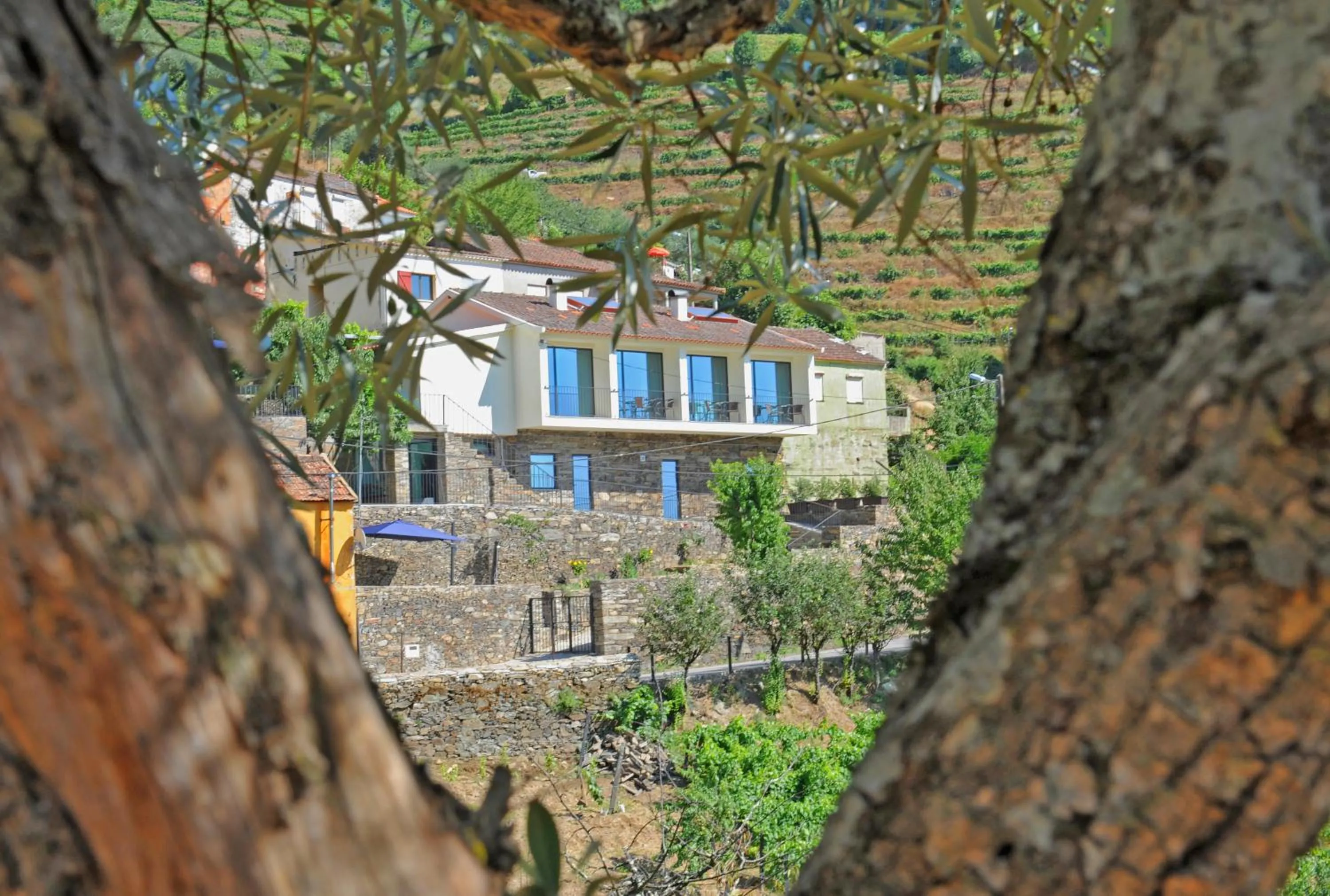 Facade/entrance in DouroXisto
