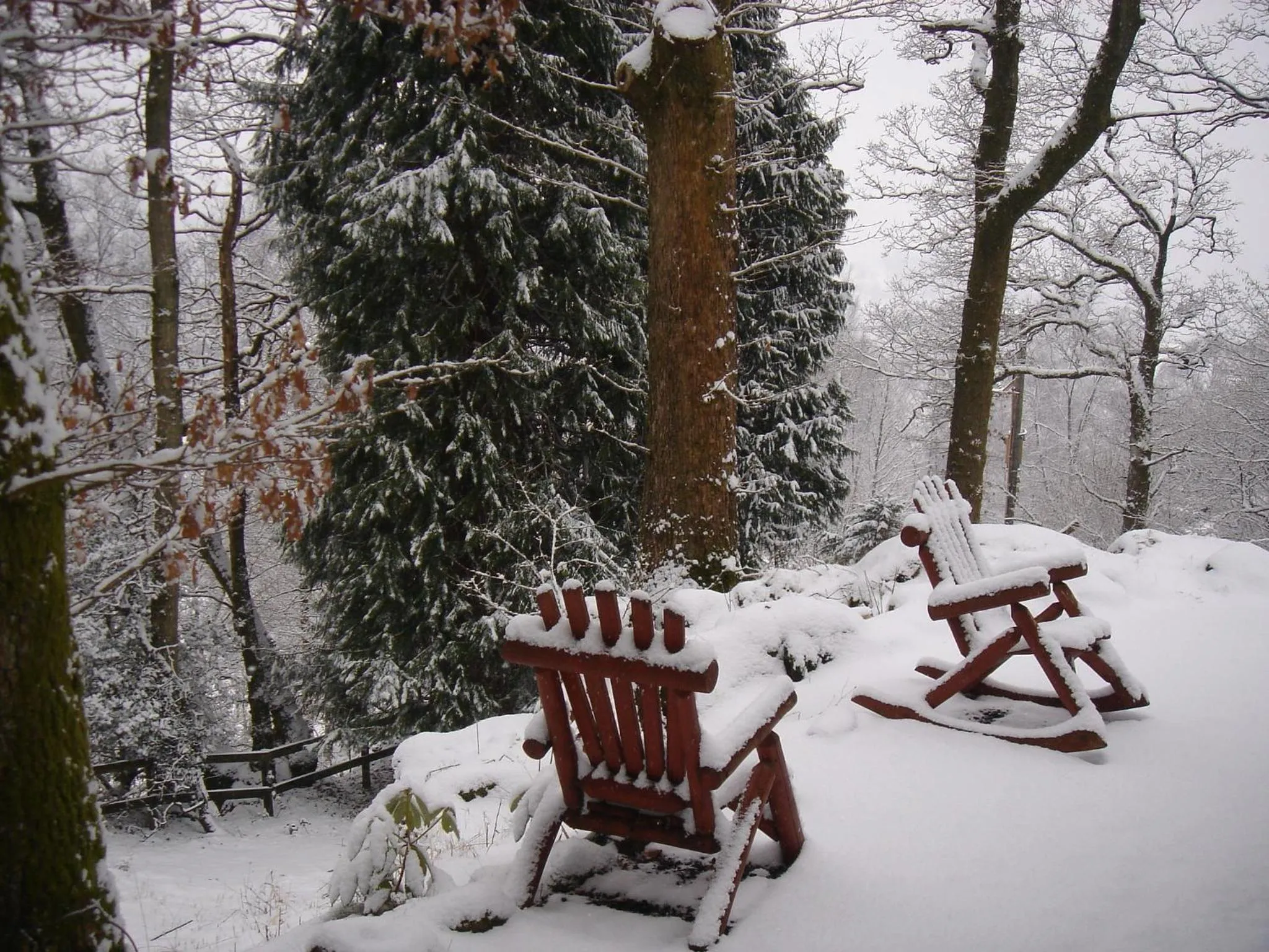 Property building in Blelham Tarn Rustic cabin in tranquil woodland