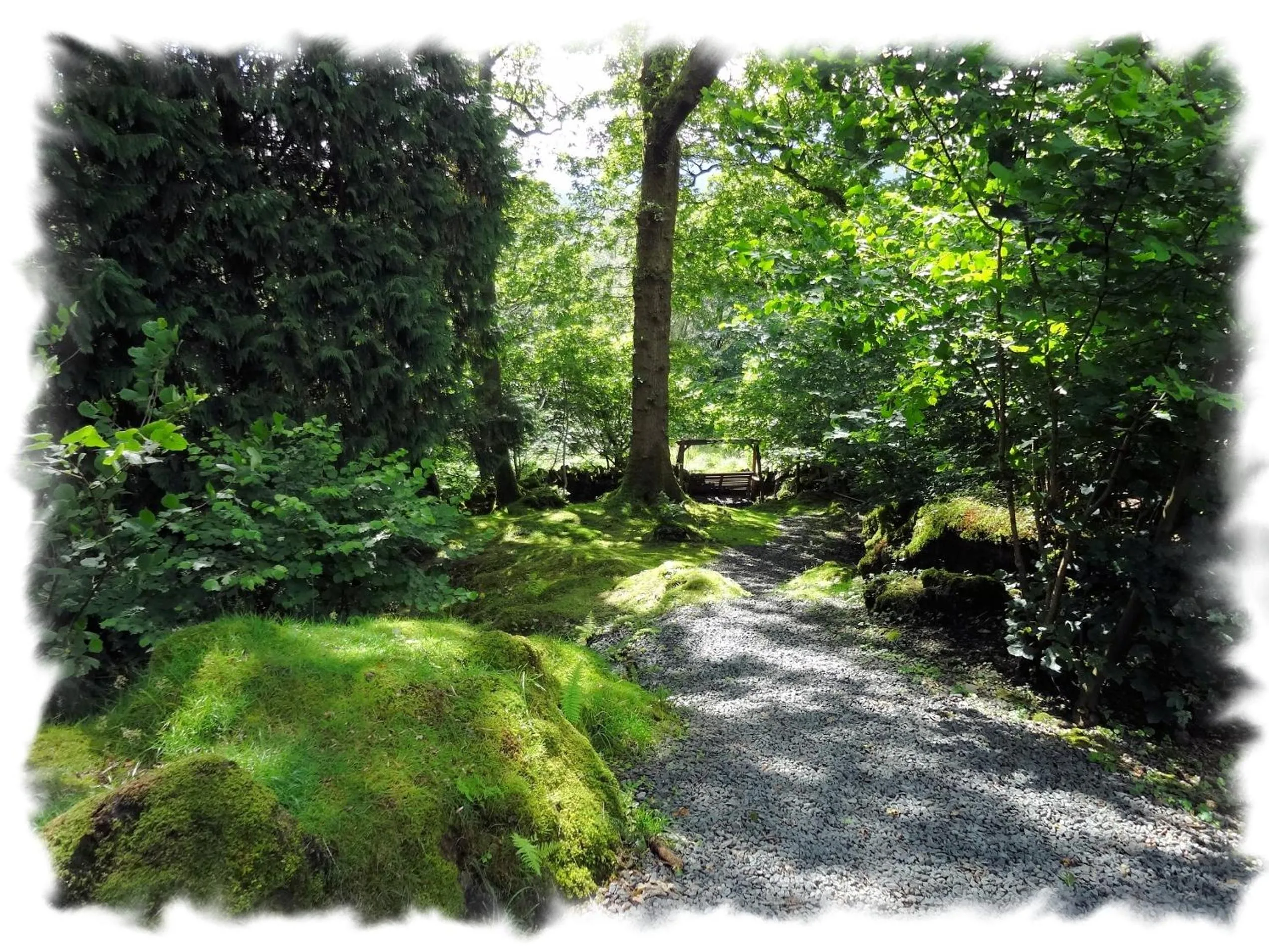 Garden in Blelham Tarn Rustic cabin in tranquil woodland