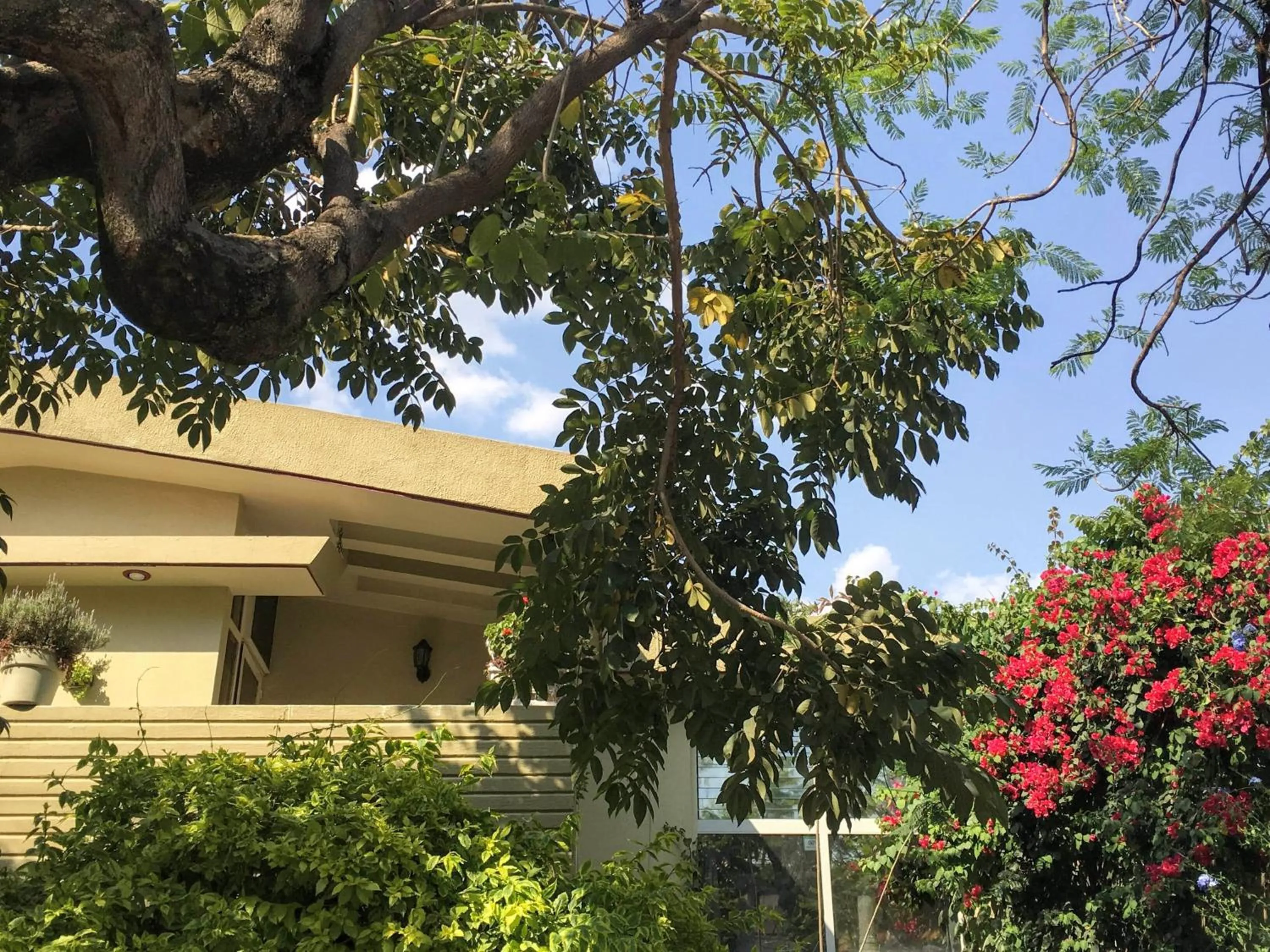 Property building in Dickinson Guest House, Guadalajara Expo