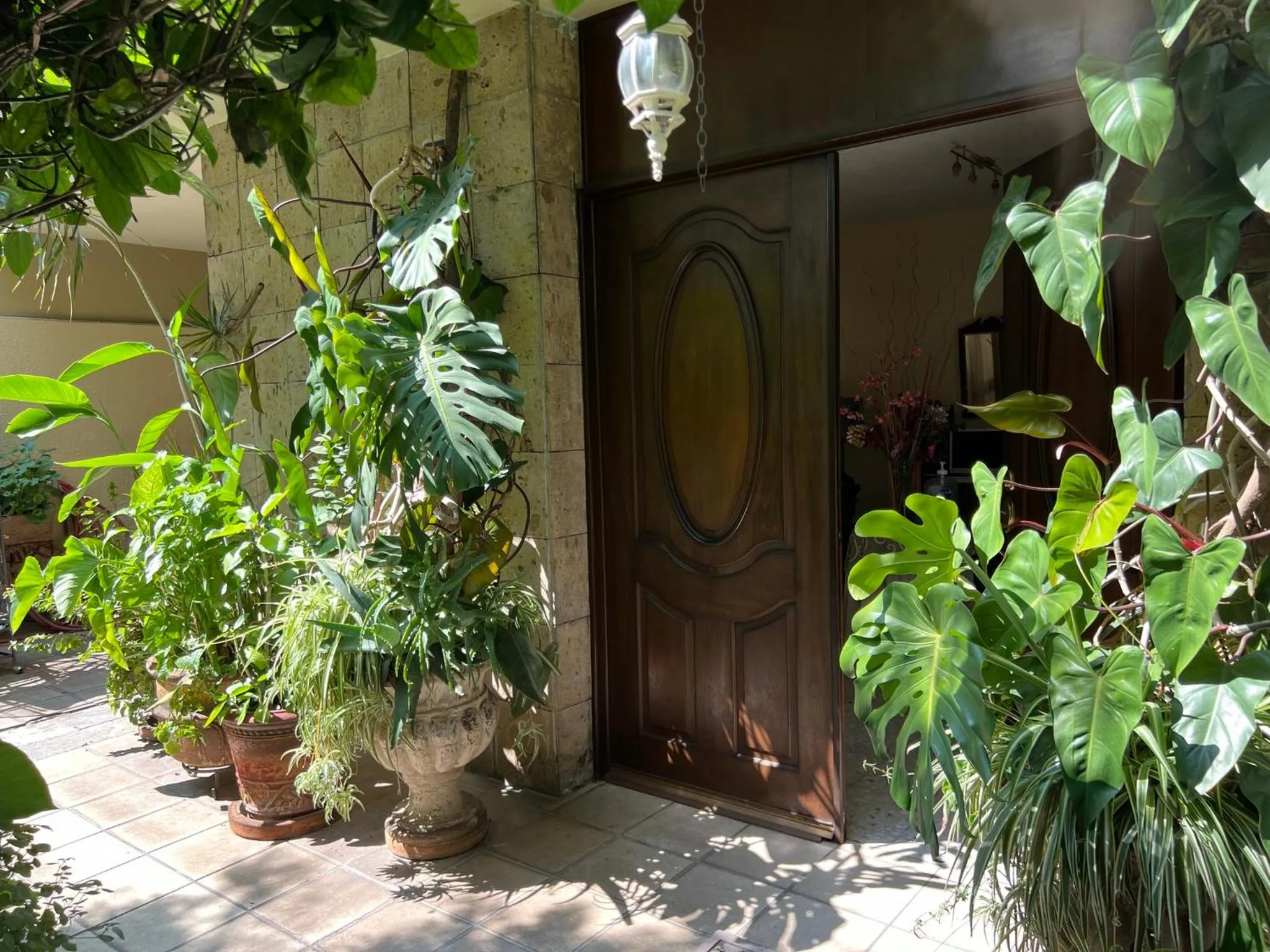 Spring in Dickinson Guest House, Guadalajara Expo