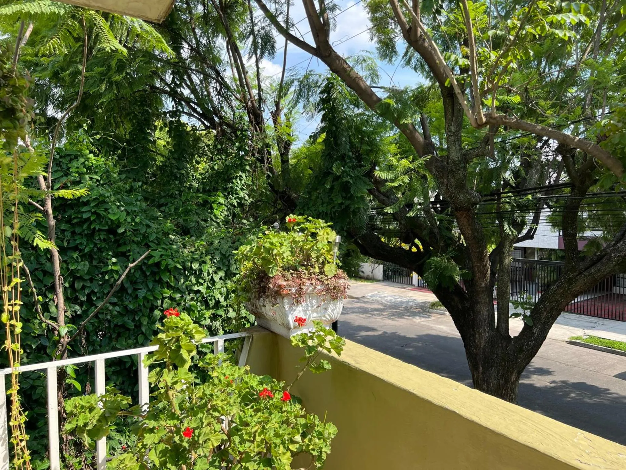 Spring in Dickinson Guest House, Guadalajara Expo