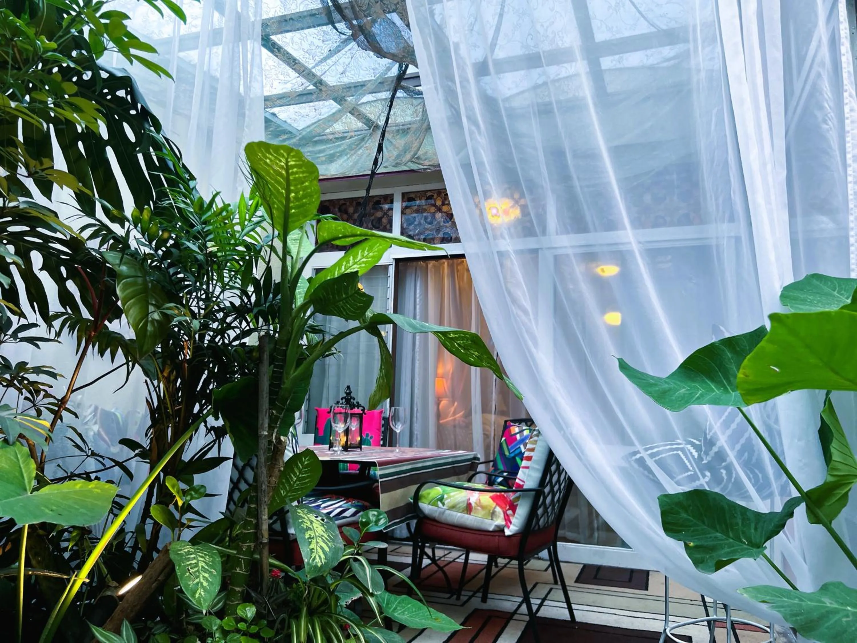 Patio in Dickinson Guest House, Guadalajara Expo