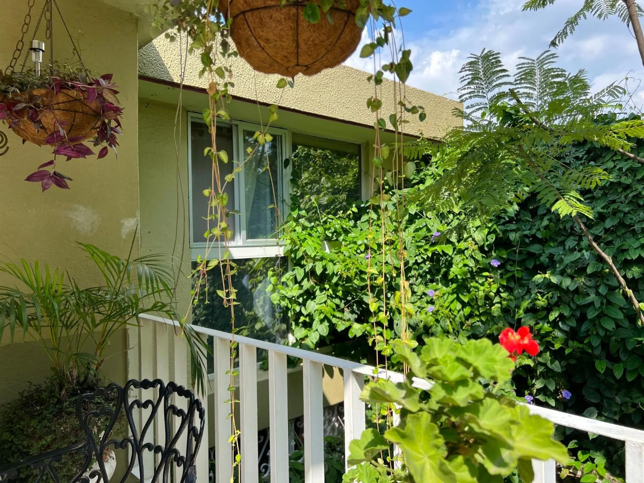 Patio in Dickinson Guest House, Guadalajara Expo