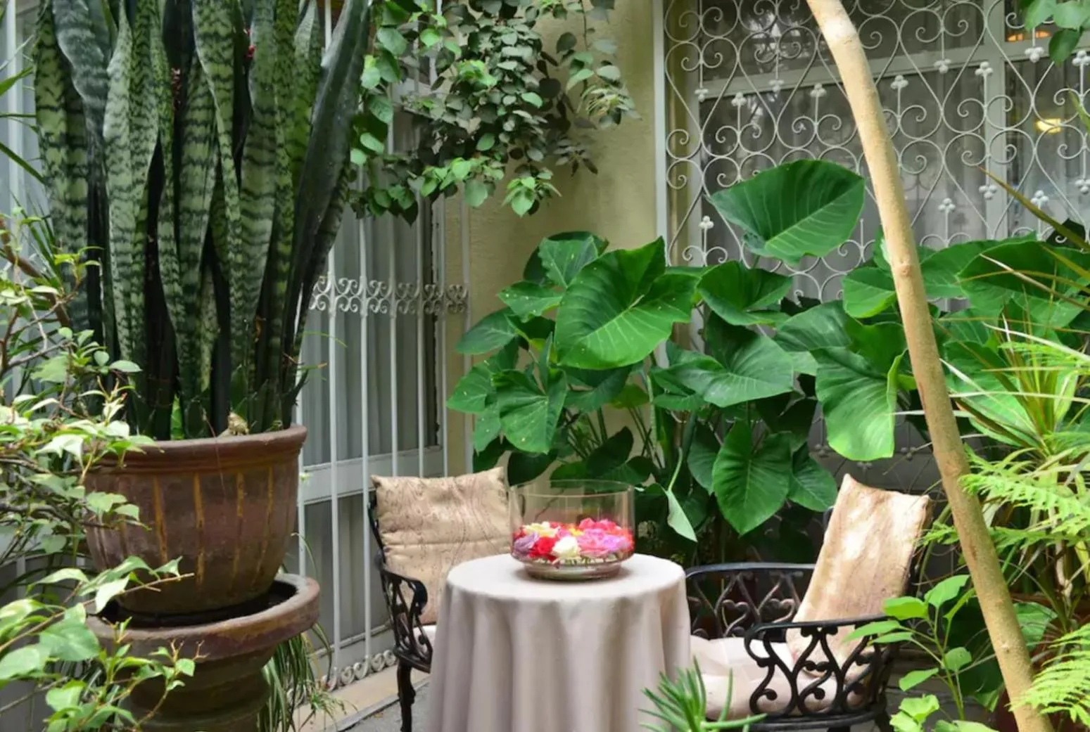 Patio in Dickinson Guest House, Guadalajara Expo