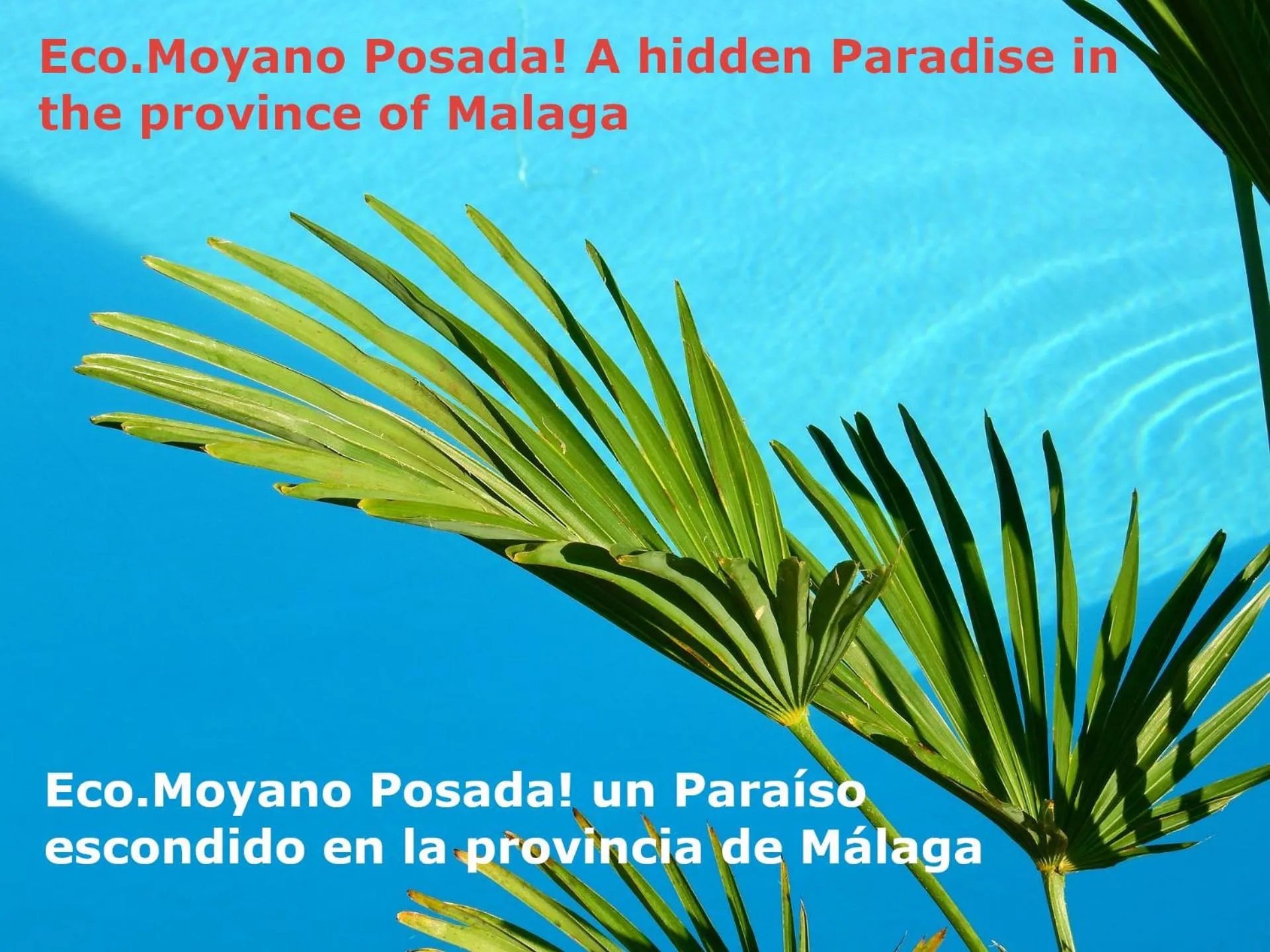 Eco Moyano Posada