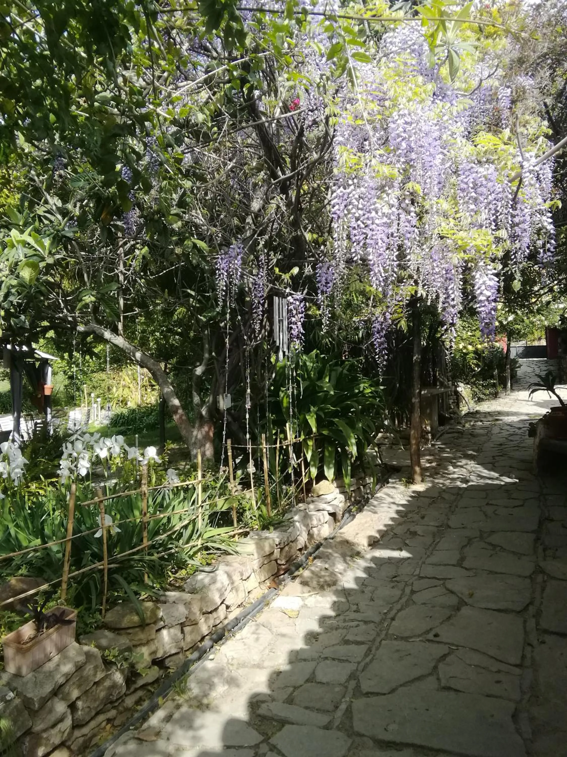 Lobby or reception in Eco Moyano Posada