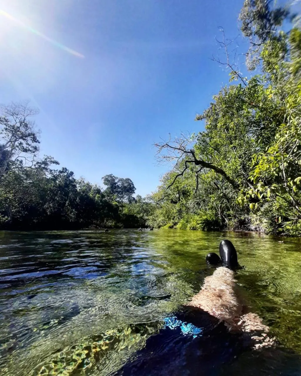 Pousada Céu de Estrelas