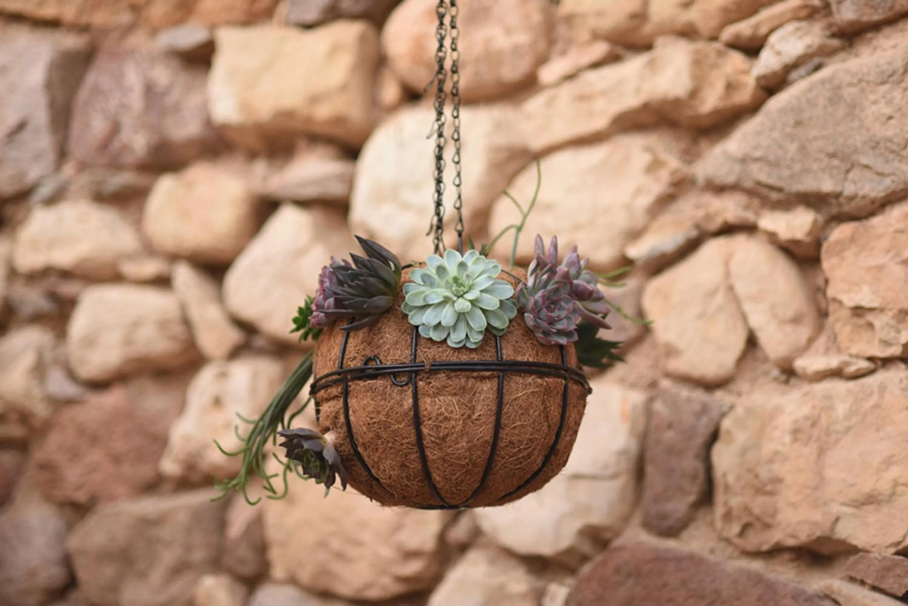 Property building in Williams House