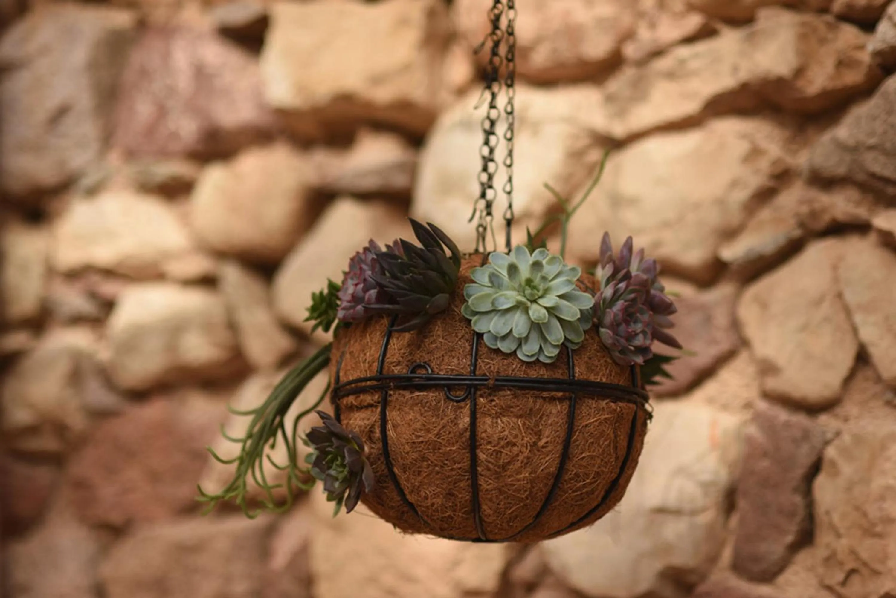 Property building in Williams House