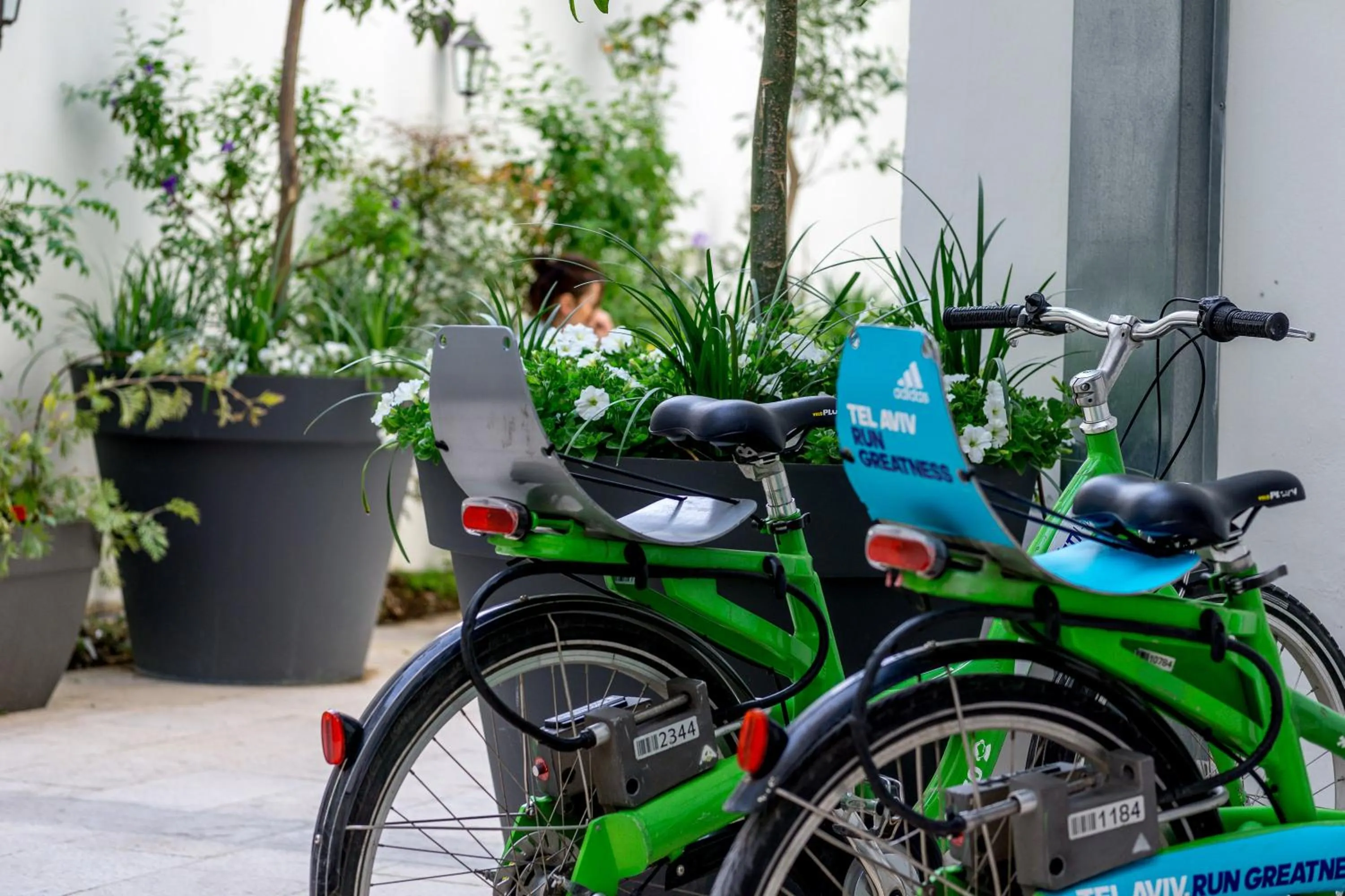 Cycling, Biking in Olive The White House